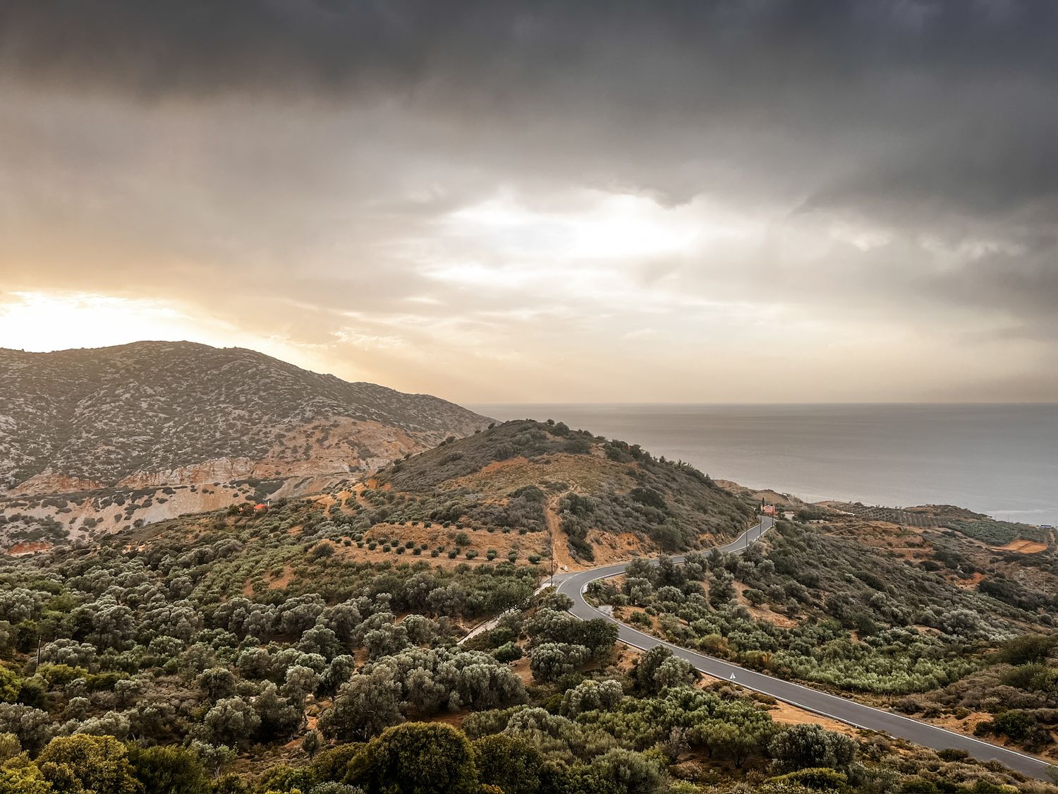 Aerial panoramic view of an olive grove on terraced hills overlooking the Mediterranean Sea during a dramatic sunset.