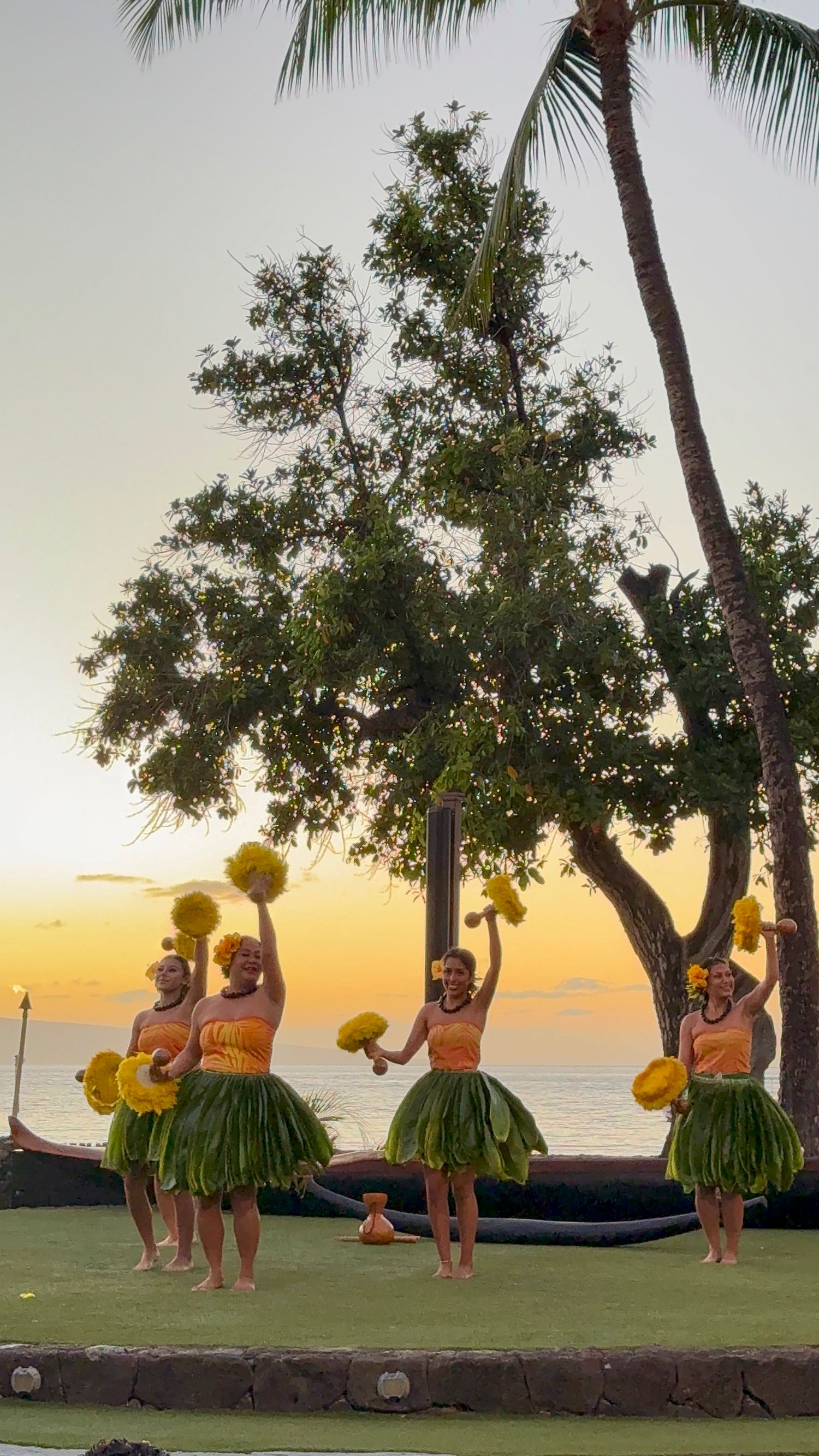 Hula dancers performing at sunset on a beachfront lawn with palm trees and yellow props.