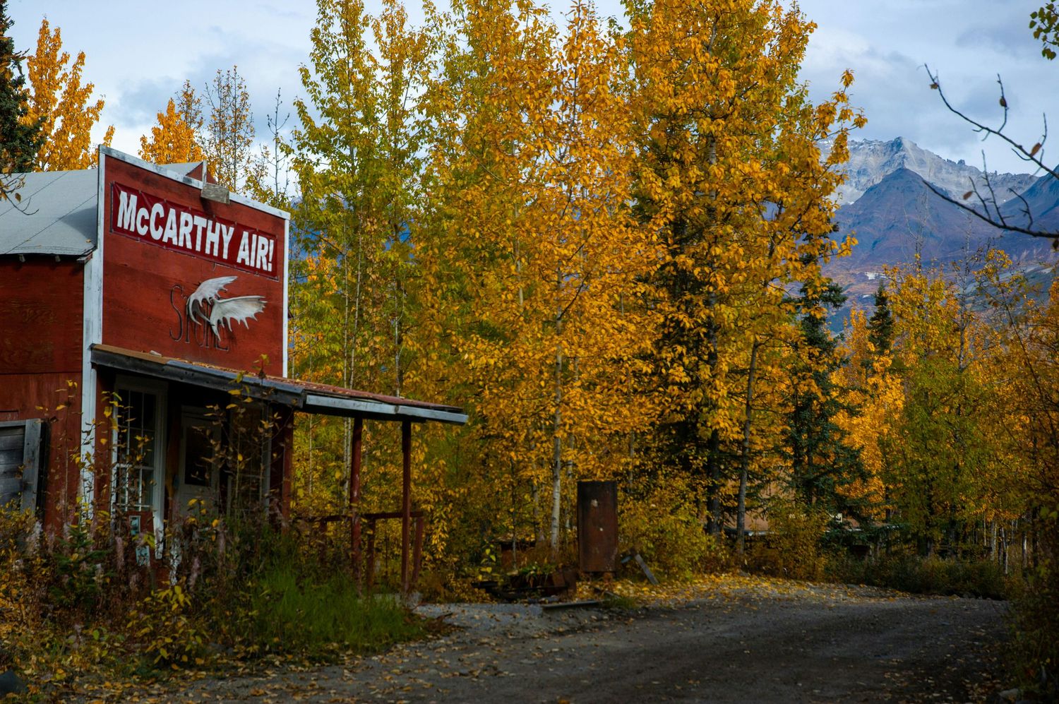 Autumn trees with golden foliage line a mountain road with peaks visible in the distance.