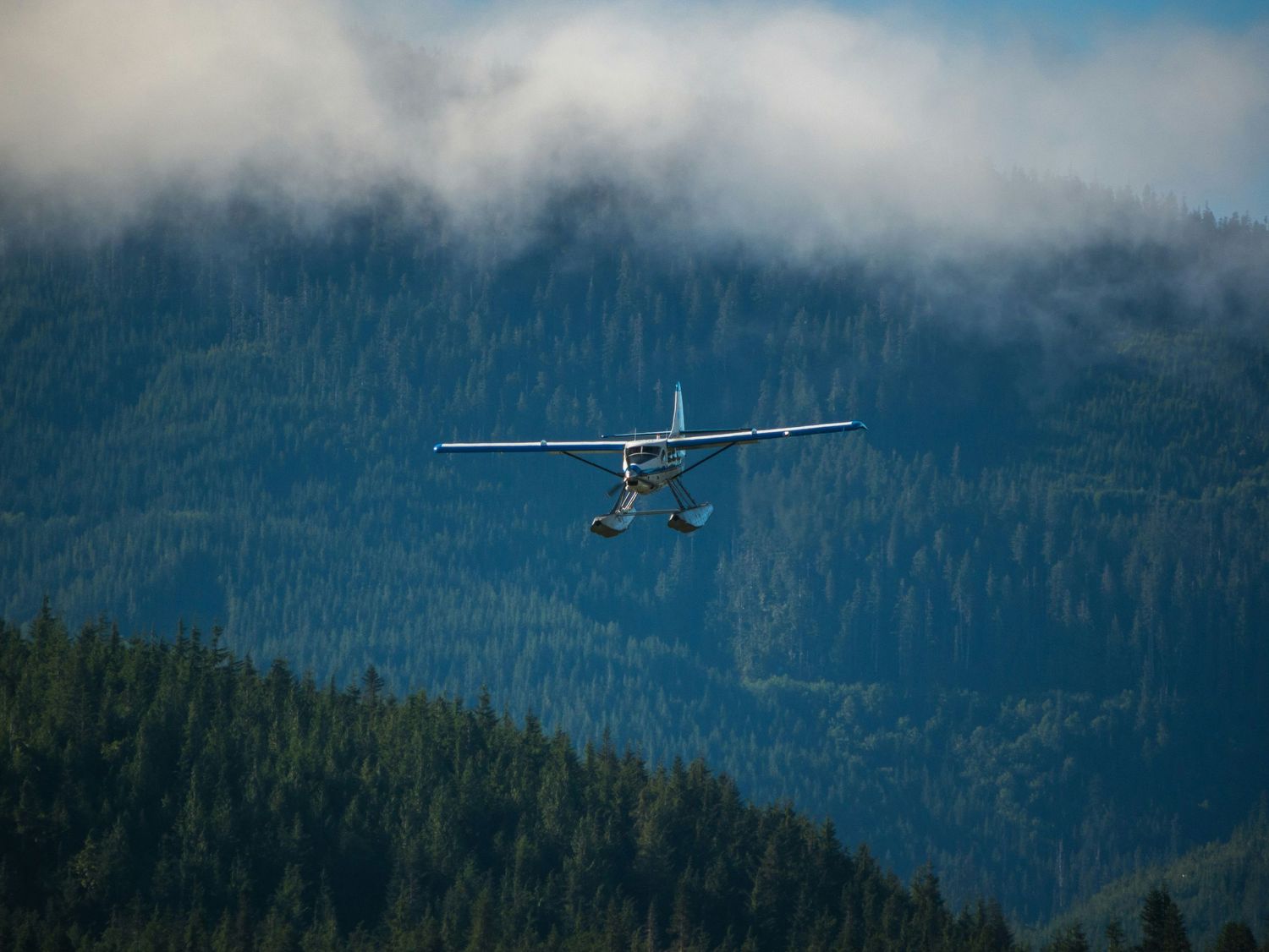 Small aircraft flying over misty evergreen forest mountains.