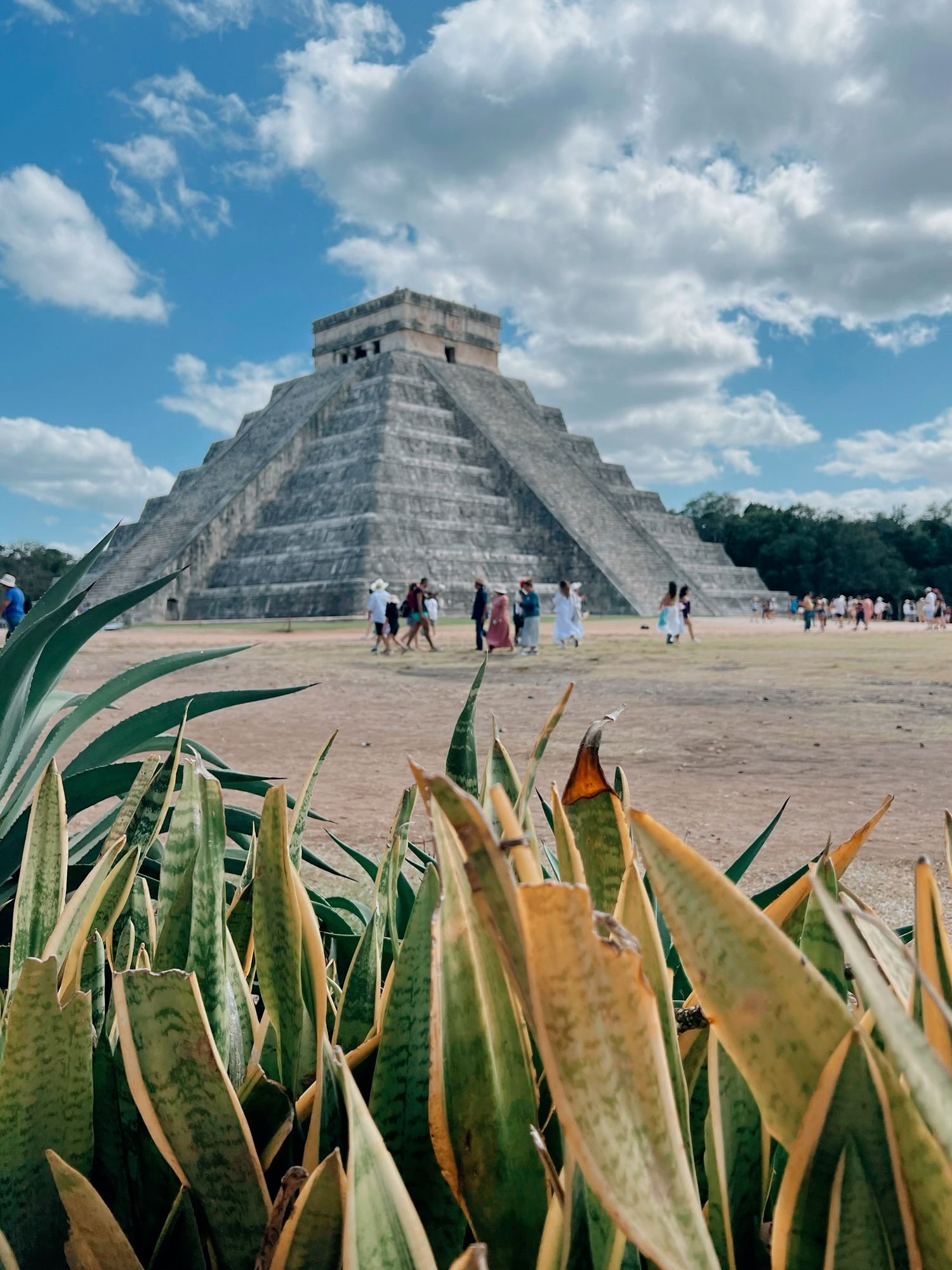 Ancient Mayan pyramid of Chichen Itza surrounded by agave plants under blue sky.