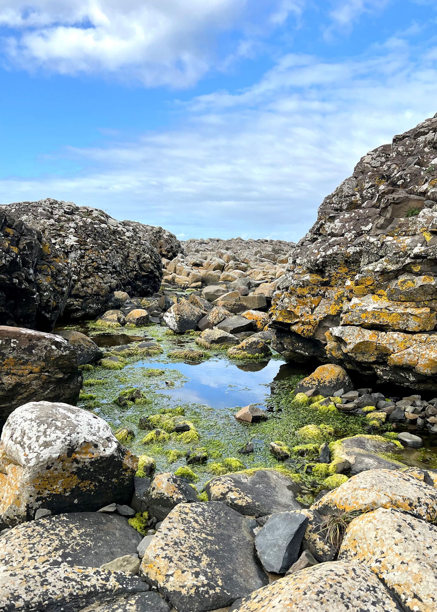 Rocky tide pool with green algae and clear water between coastal rocks under bright blue sky with white clouds.