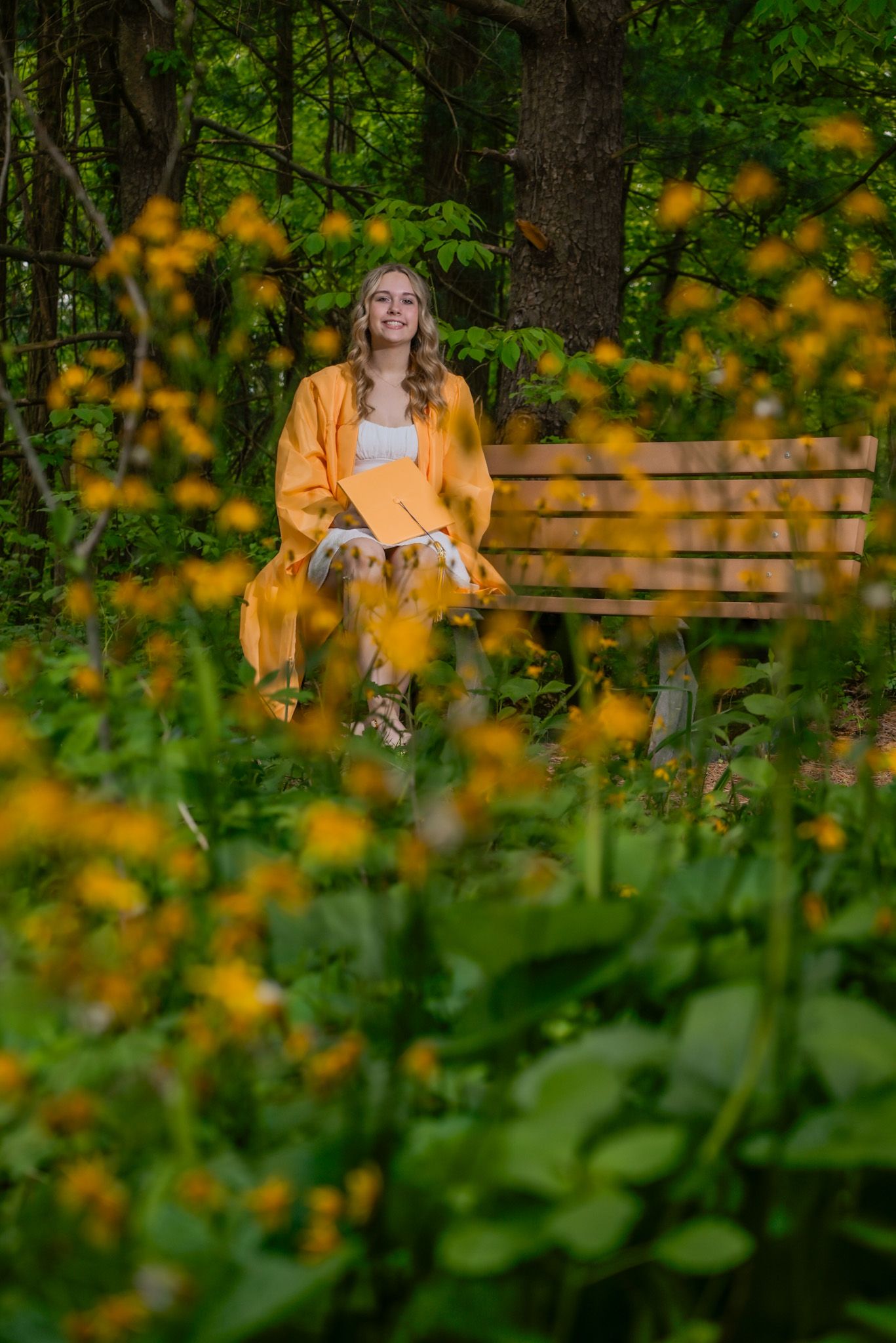 A person in a yellow sweater sits on a wooden bench surrounded by vibrant yellow wildflowers in a forest setting.