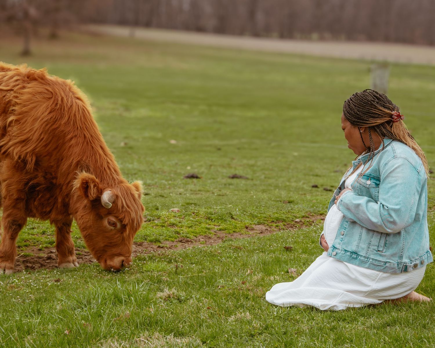 Pregnant woman in white dress and denim jacket kneeling beside a fluffy Highland calf grazing in a green field.