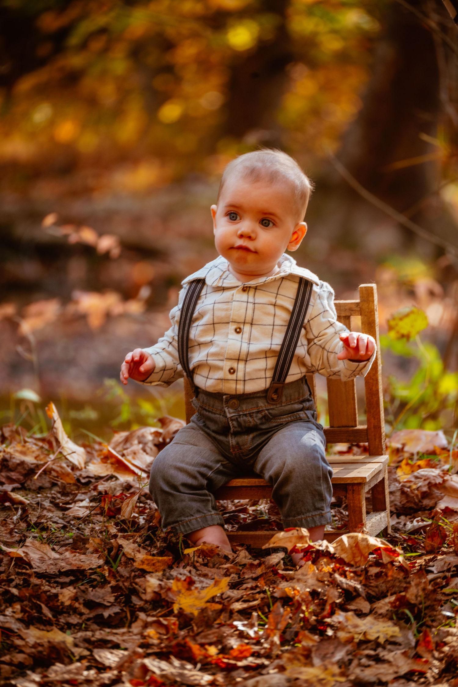 Adorable baby boy in suspenders sits on tiny wooden chair surrounded by colorful autumn leaves in a forest setting.
