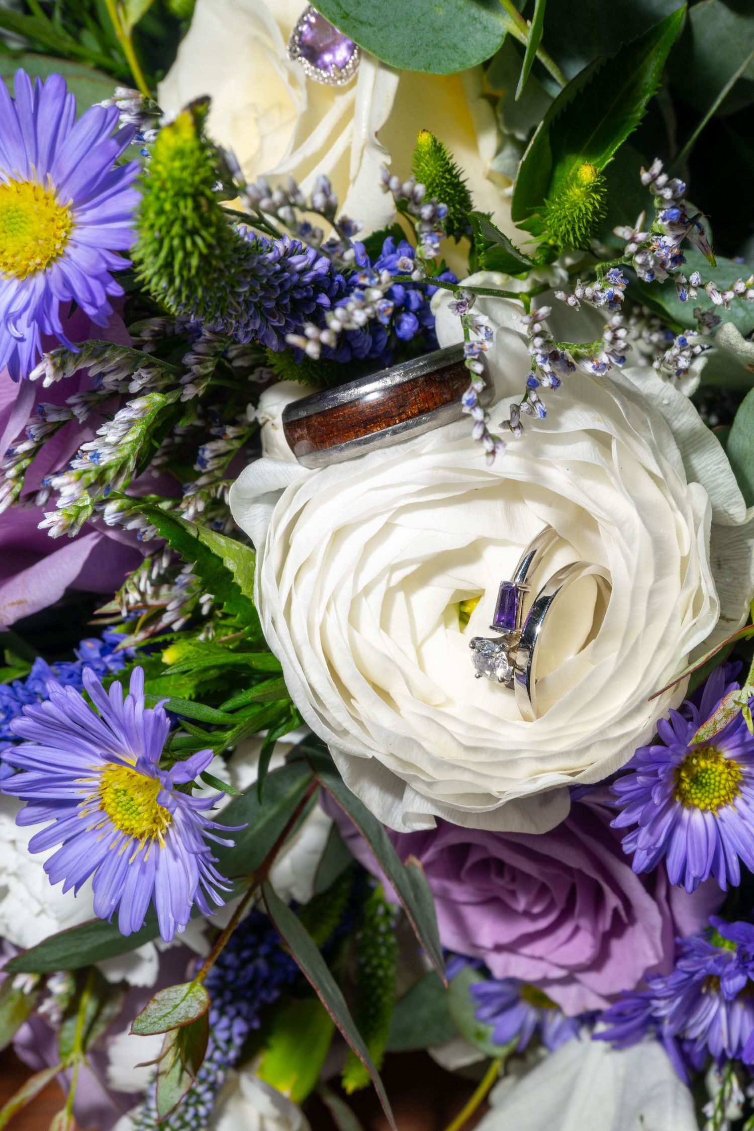 Wedding rings rest on a white ranunculus bloom surrounded by purple asters and roses in a bridal bouquet.