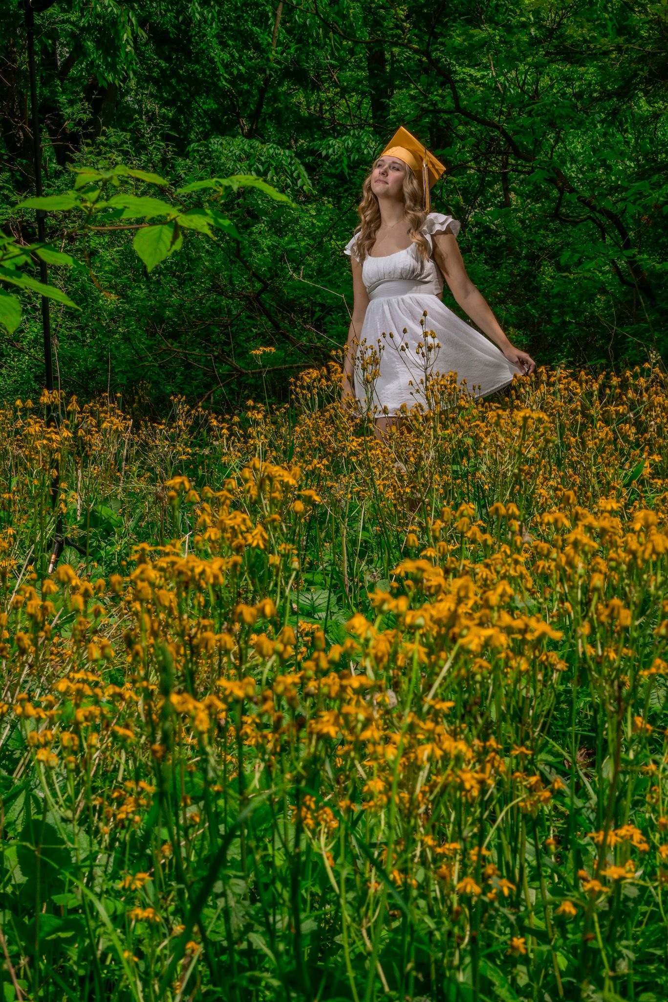 Woman in white dress and gold graduation cap standing in a field of yellow wildflowers with green forest background.
