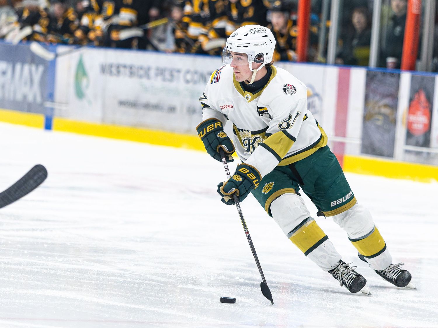 Hockey player in green and gold uniform skating with puck during a junior ice hockey game.