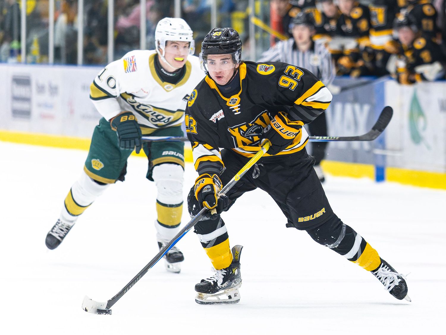 Two ice hockey players compete for the puck during a game, one in black and gold, the other in green and white uniforms.