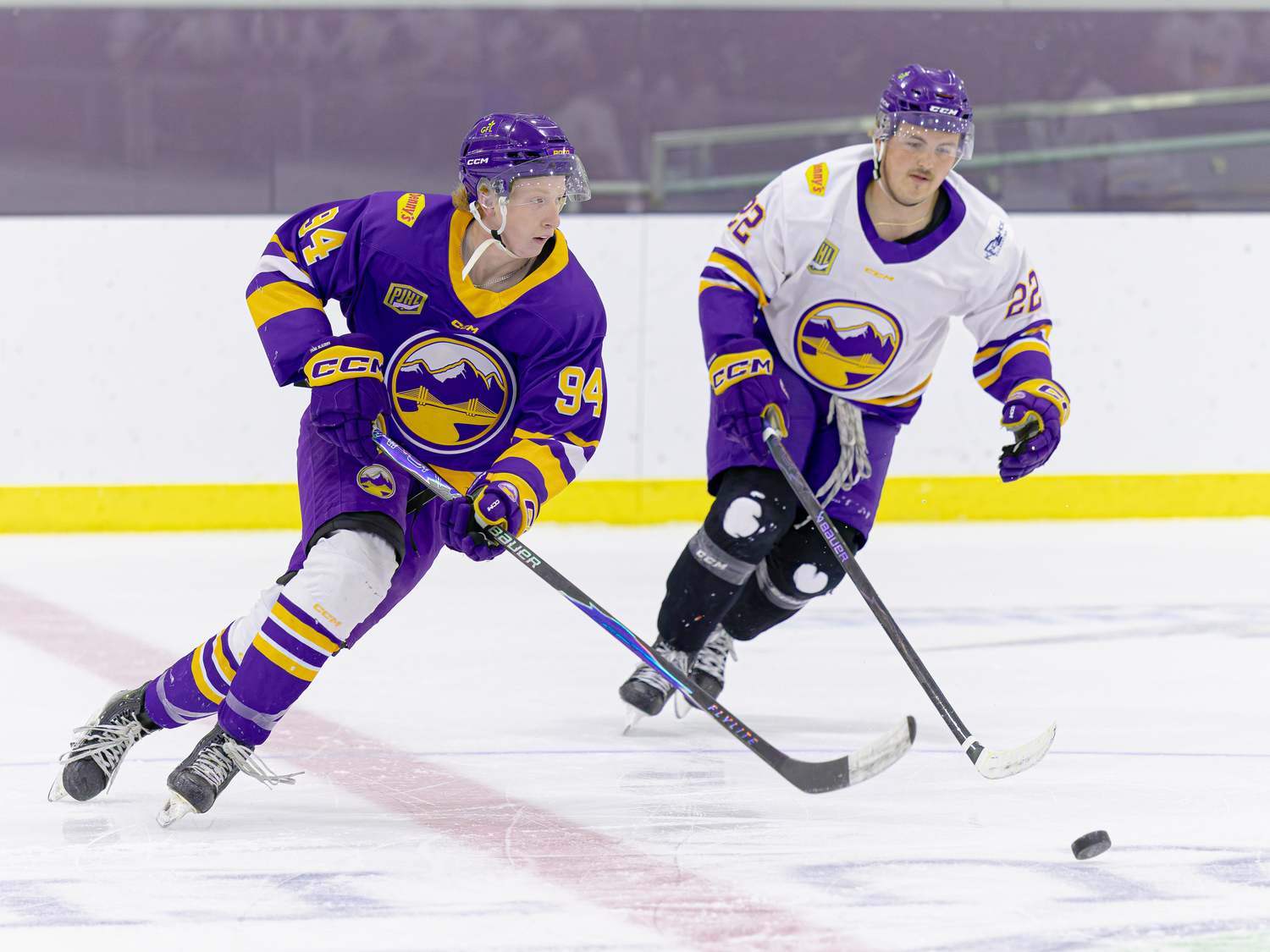 Two hockey players in purple and gold uniforms compete for the puck on an indoor ice rink.