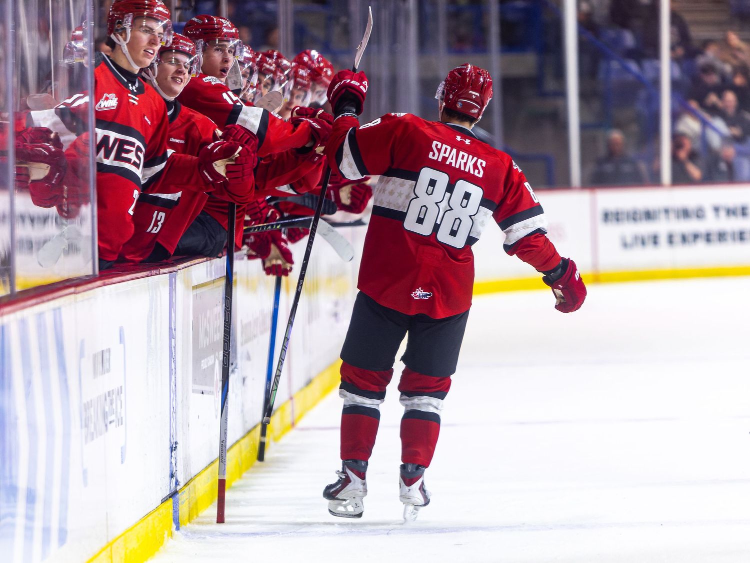 Hockey player #88 Sparks celebrates a goal with teammates along the bench during an ice hockey game.