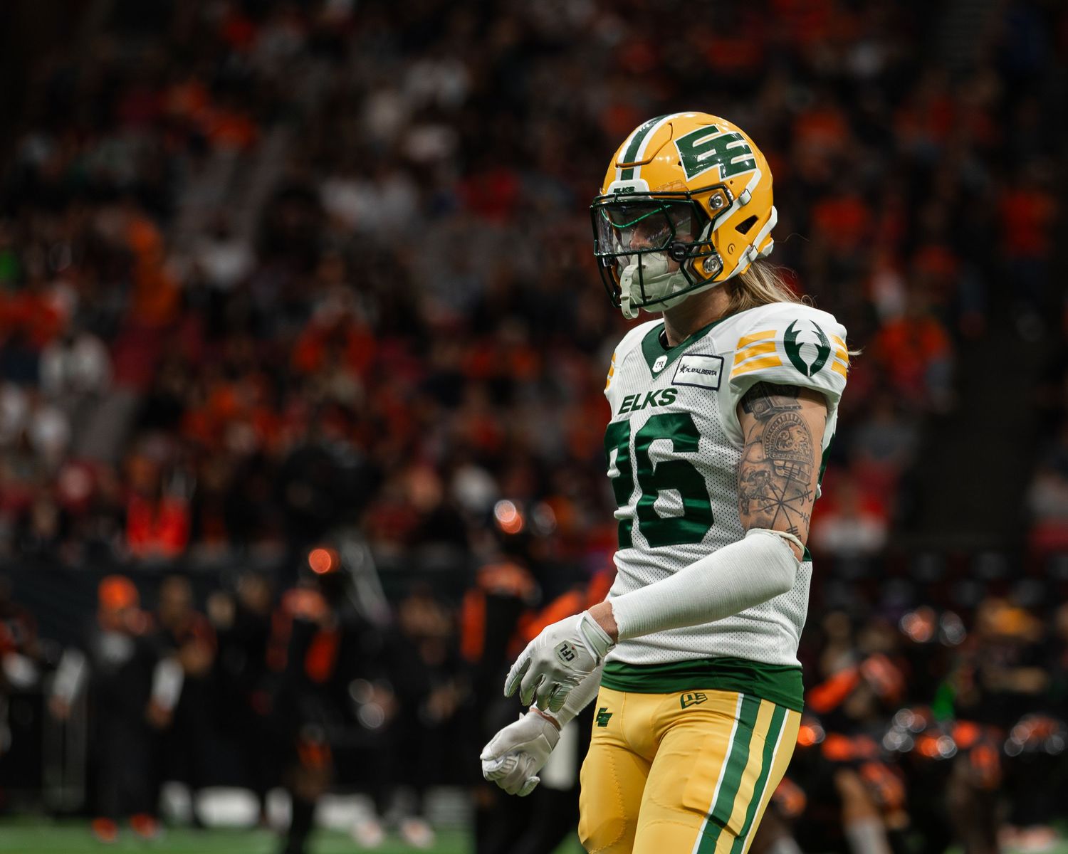 Edmonton Elks CFL player #26 in yellow and green uniform stands on field during a game.
