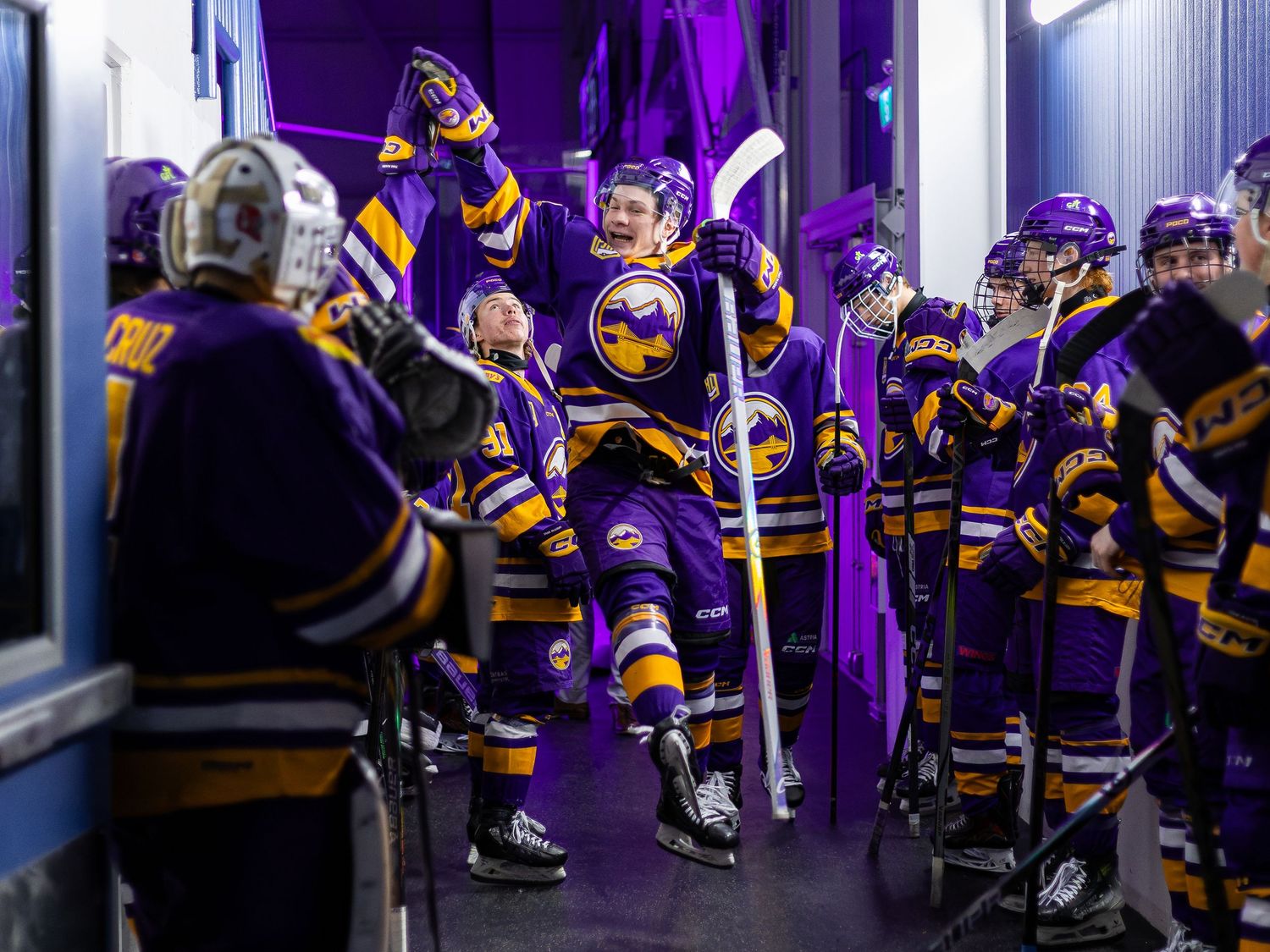 Hockey players in purple and gold uniforms celebrate in a tunnel before taking the ice.