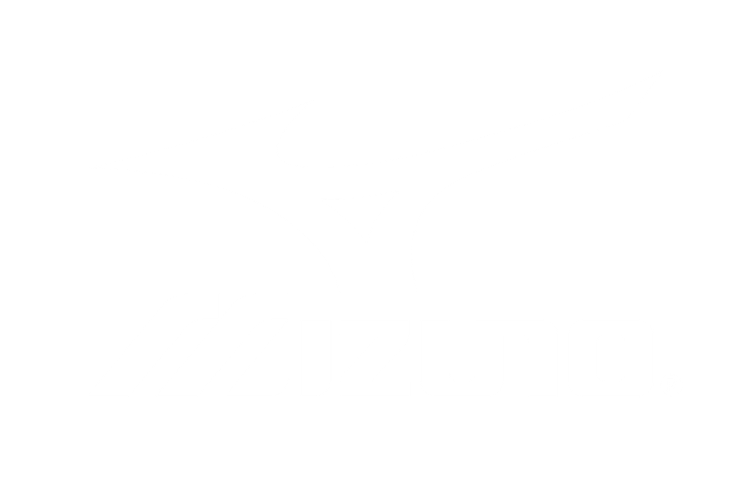 Mizuno Logo