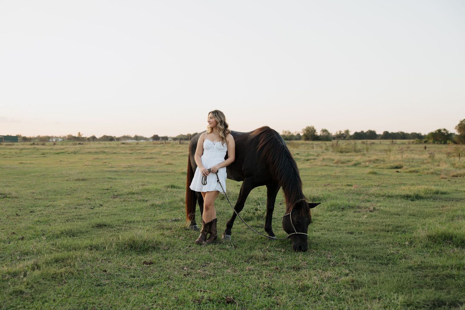 A horse grazes in a grassy field at sunset while a person in casual clothing sits nearby watching peacefully.