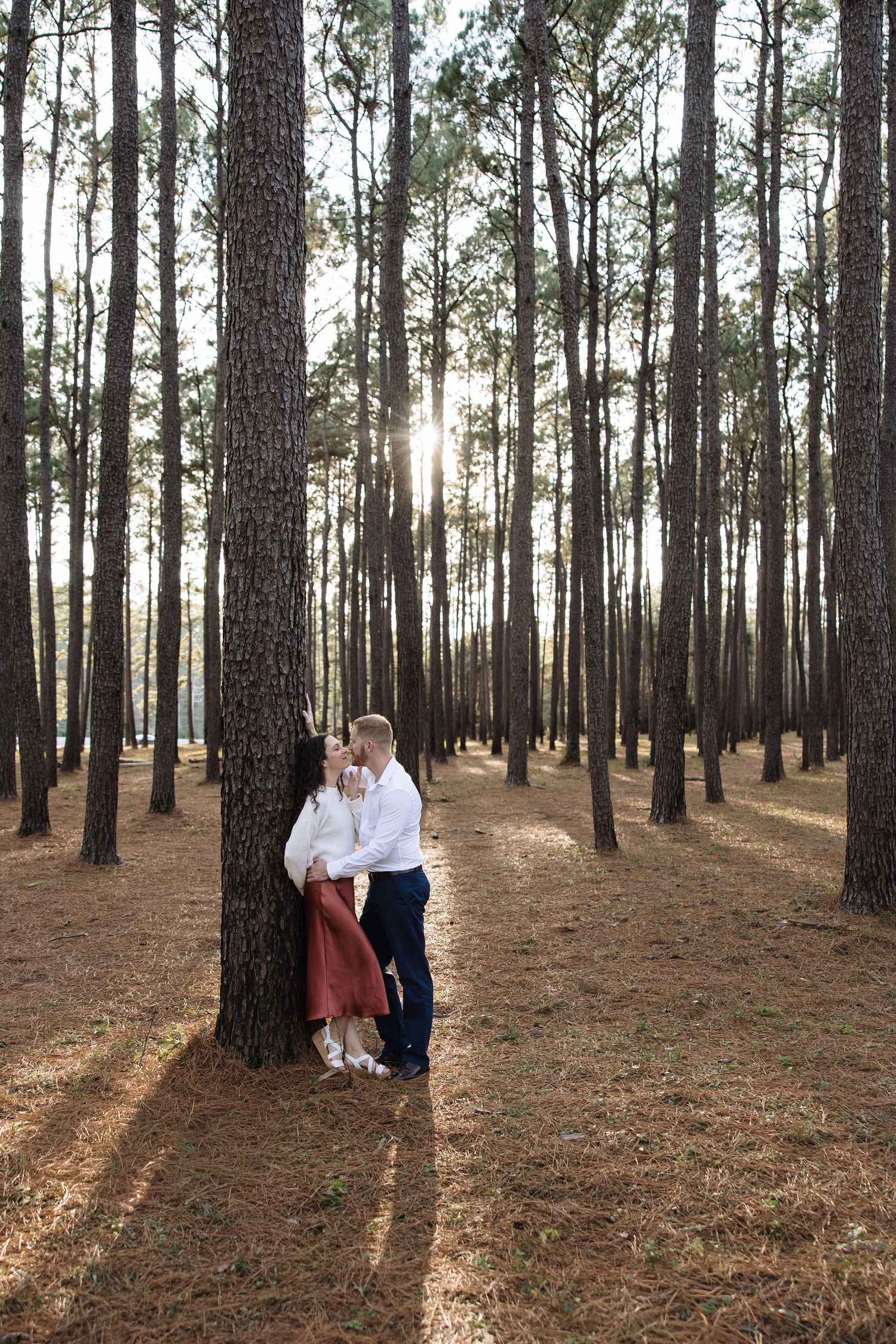 A couple shares a romantic moment in a serene pine forest with sunlight filtering through the trees.