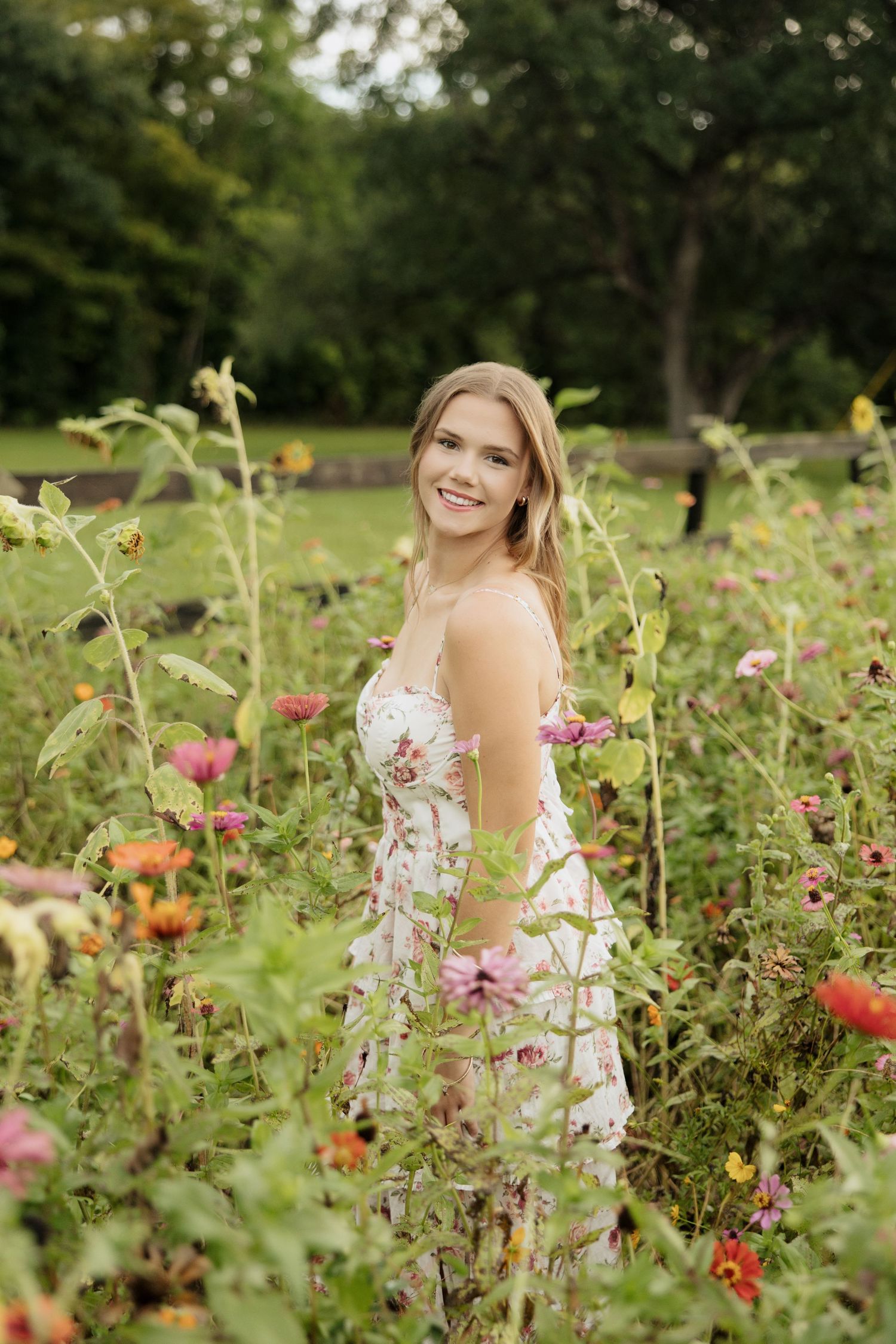 A summer garden scene with colorful flowers and natural lighting.