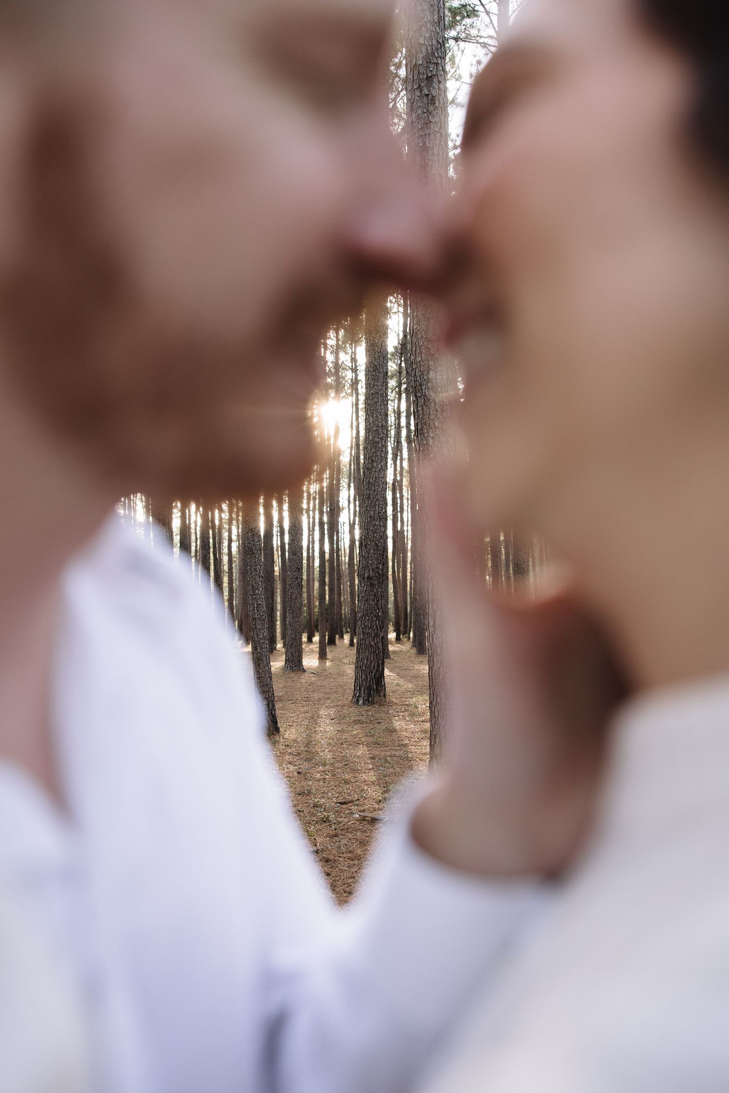A creative wedding photo showing a forest scene framed within the silhouette of a couple about to kiss.