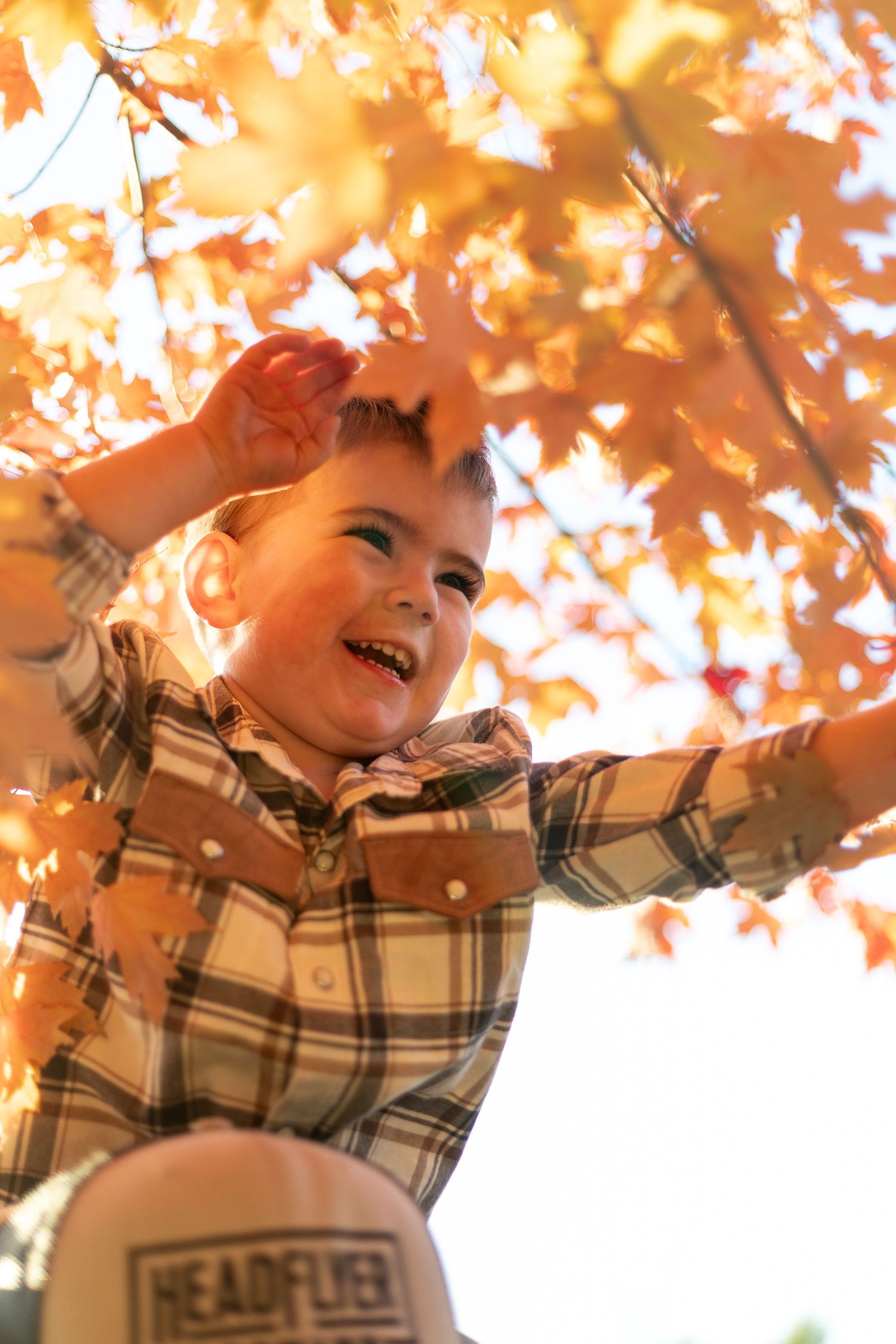 A joyful young boy in a plaid shirt laughs under vibrant orange autumn maple leaves outdoors during a fall mini session in Hudson, WI.