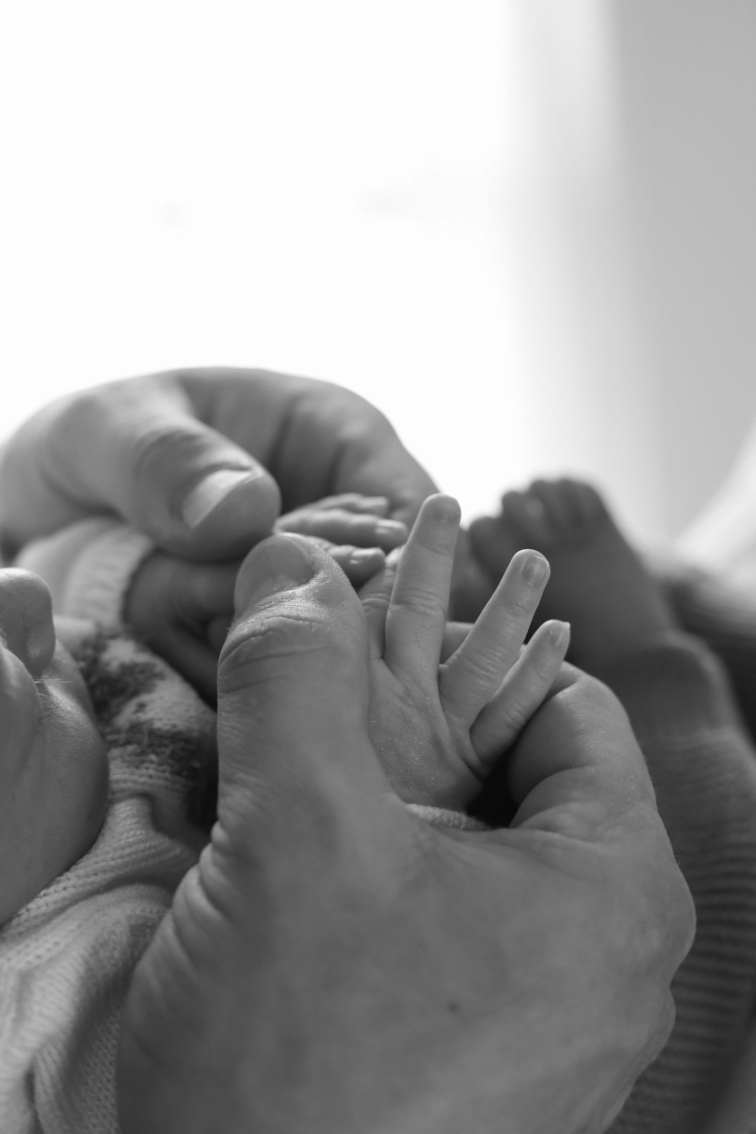 A black and white close-up photo shows parents interlocked with their newborn's fingers gently, taken by Woodbury newborn photographer.