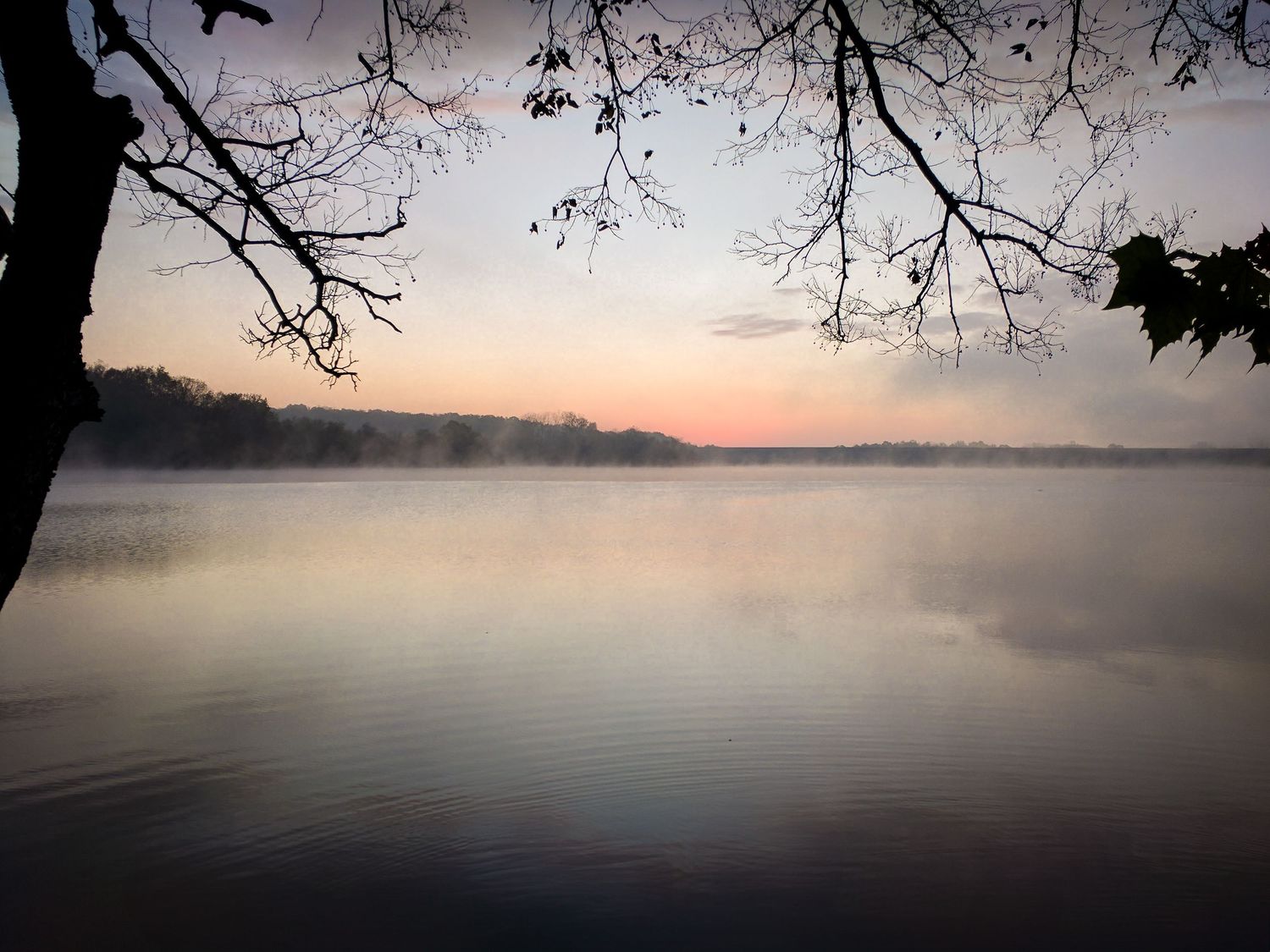 Foggy morning lake view