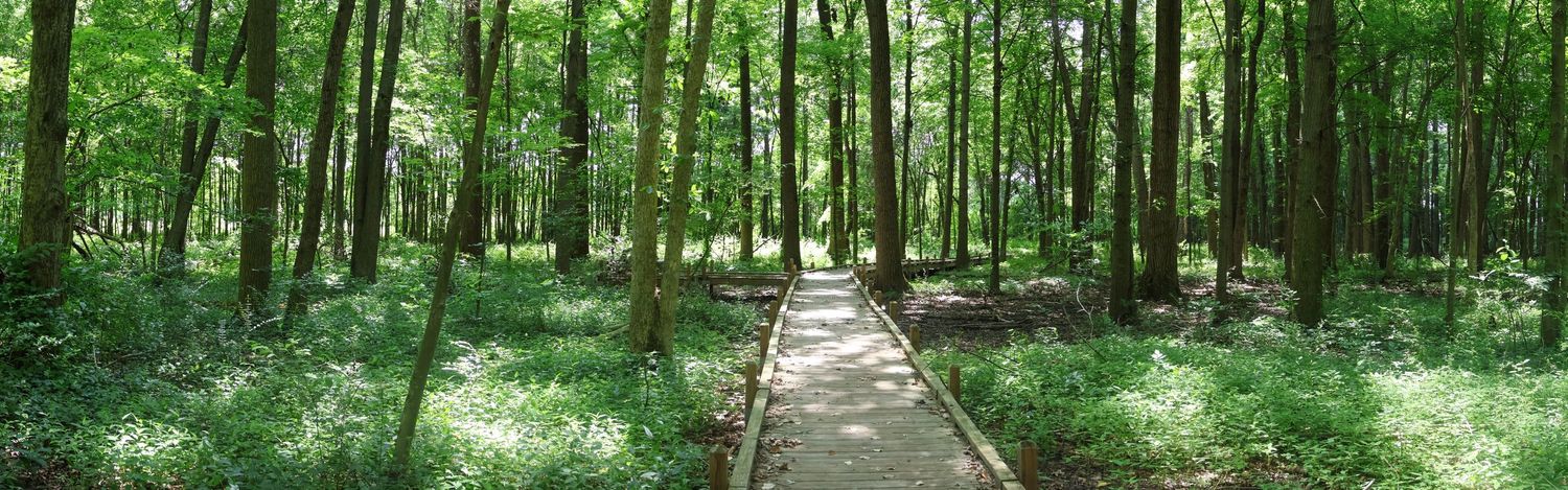 A boardwalk that is in Wintergarden Park in Bowling Green, OH