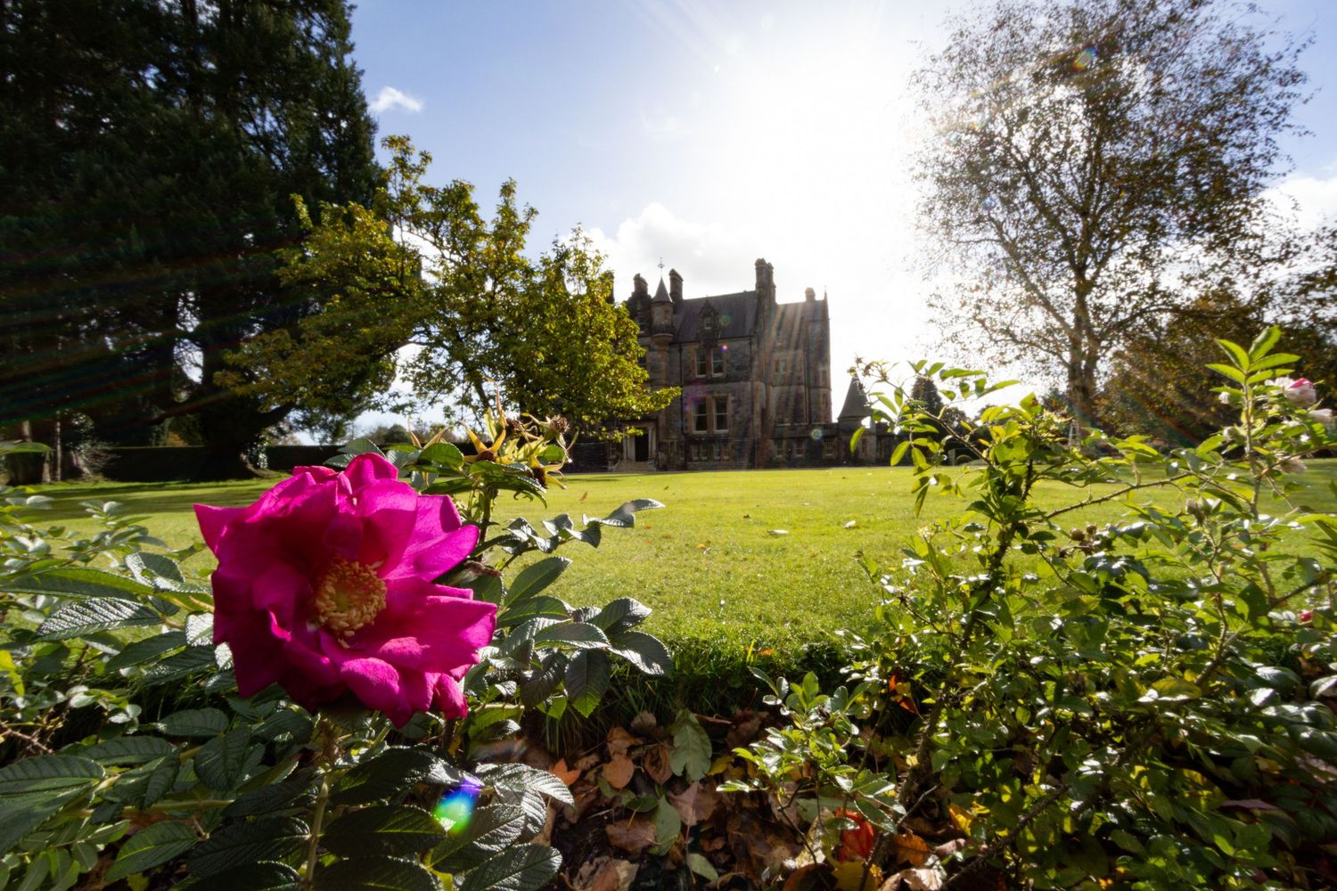 Blarney Manor in Ireland