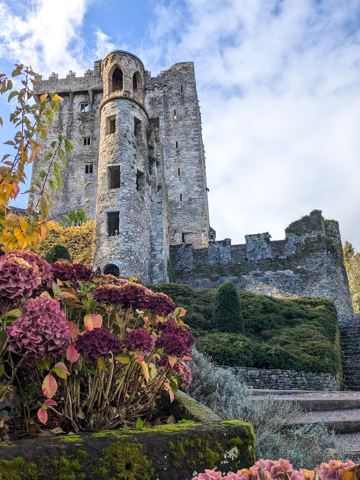 Blarney Castle with flowers