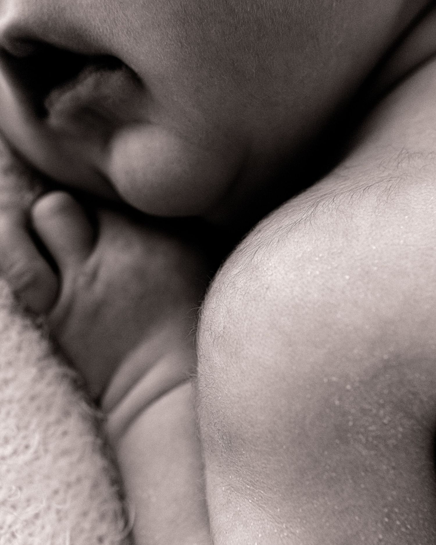 Ayrshire newborn baby is captured laying on his front, lanugo still covering his shoulders