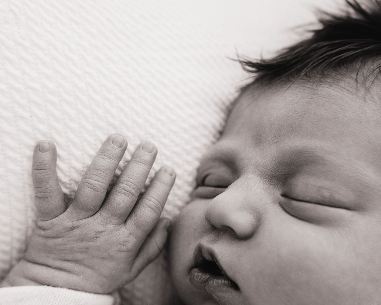 black and white photo of newborn baby girl sleeping peacefully on her tummy during her newborn photoshoot in Ayrshire