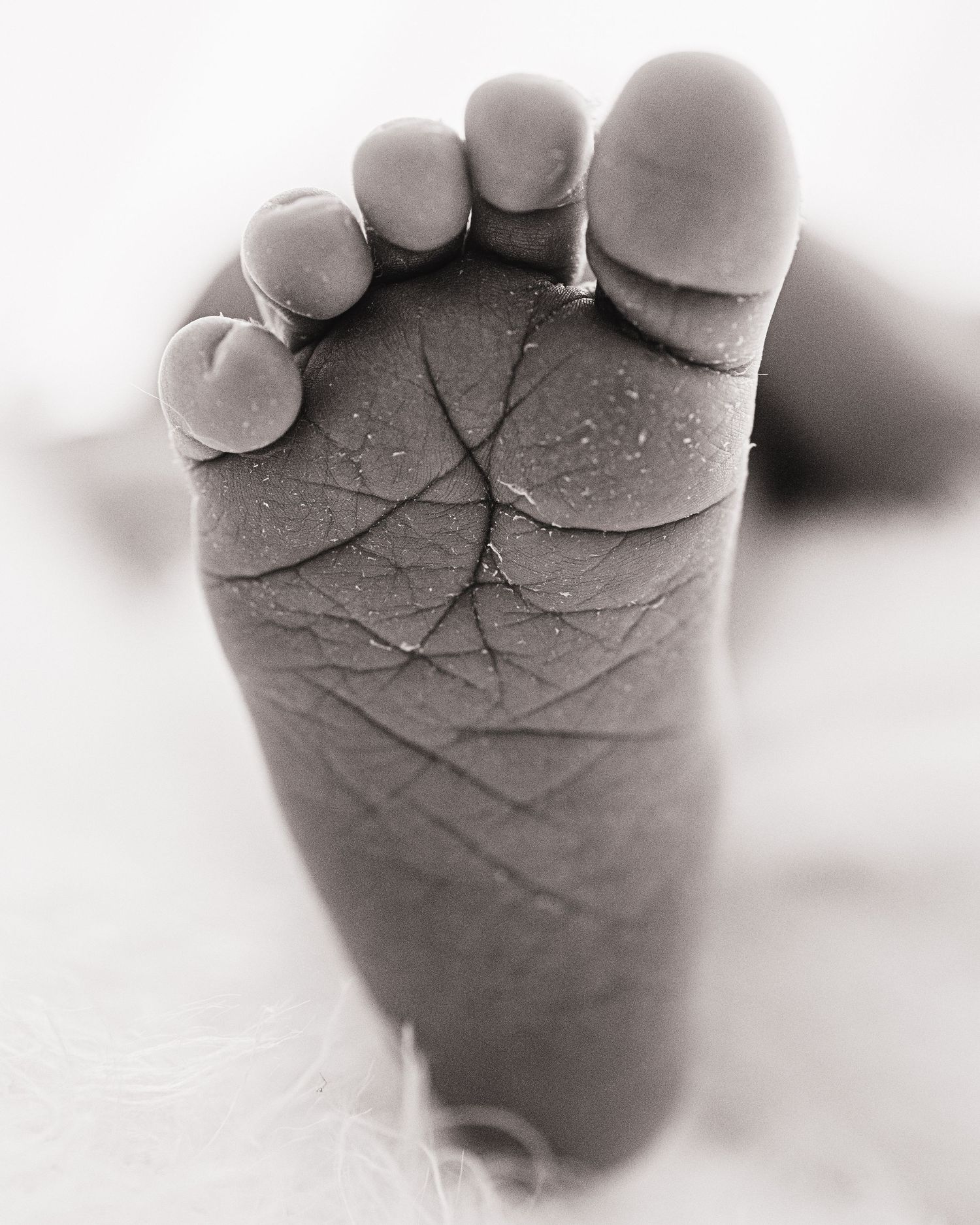 the underside of a newborn baby's foot. Every detail is captured in Faye McRae's timeless style in her Ayrshire studio