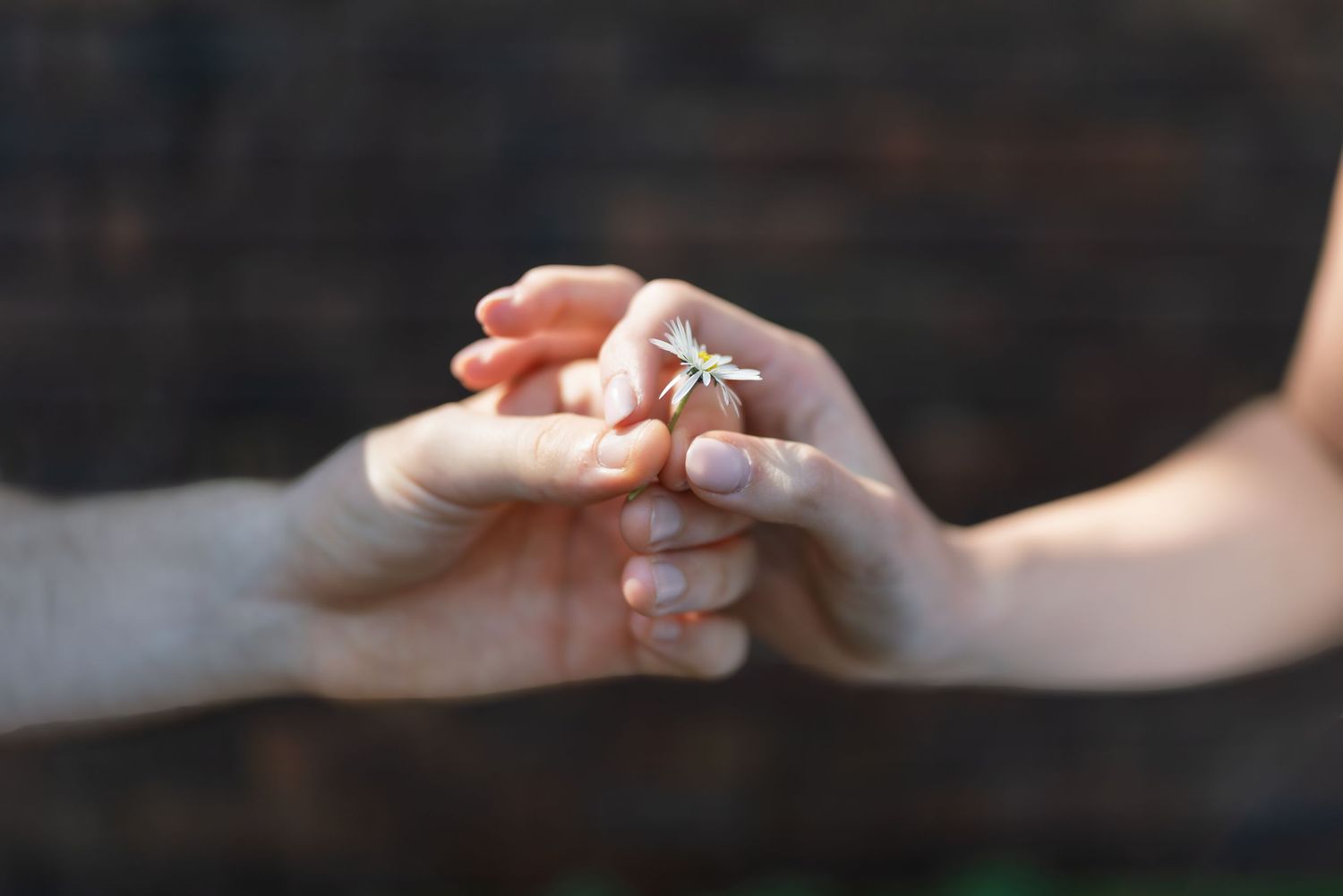 Two hands reach out to touch each other in a tender gesture against a dark background.