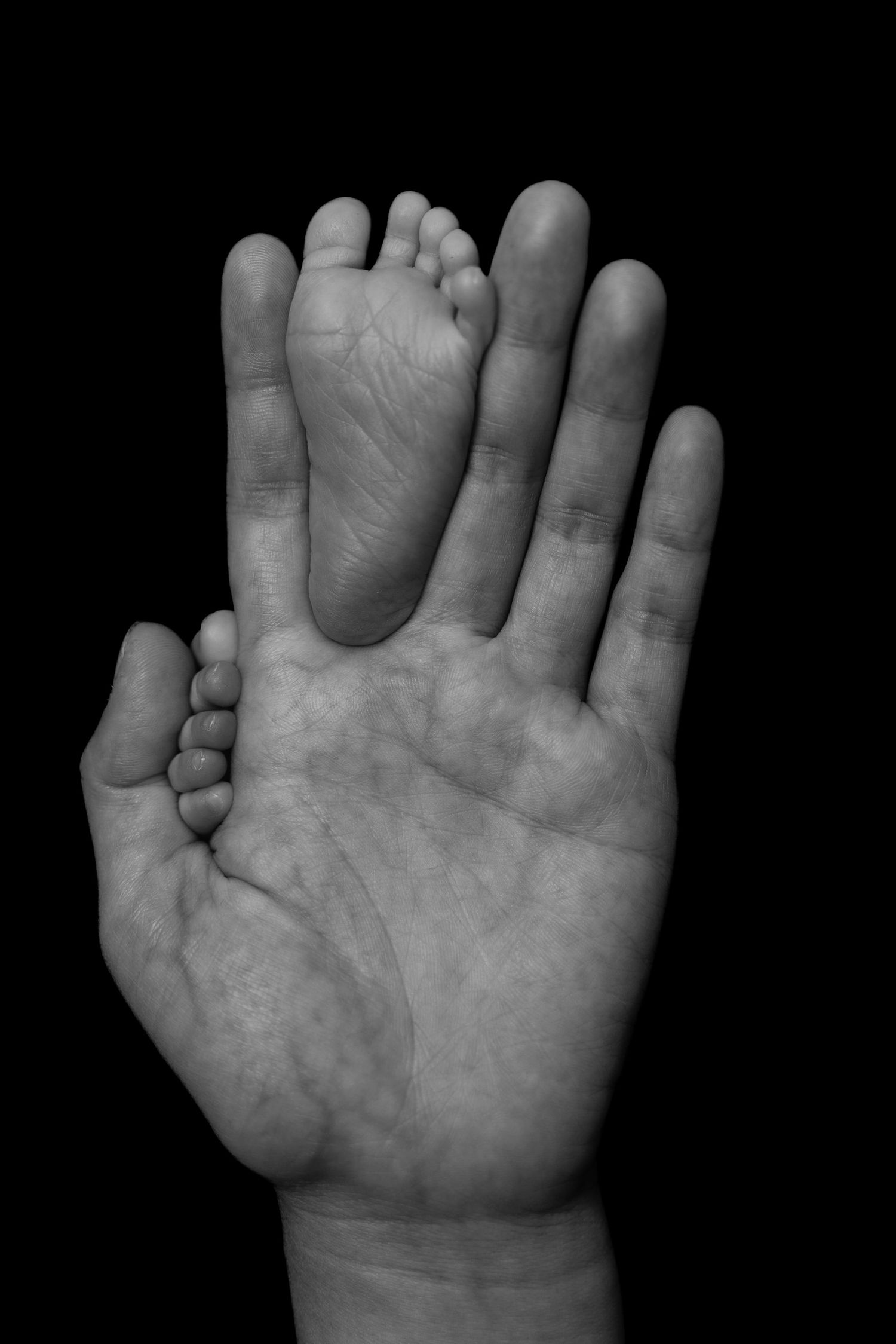 Black and white image of adult hands with baby feet placed side by side.