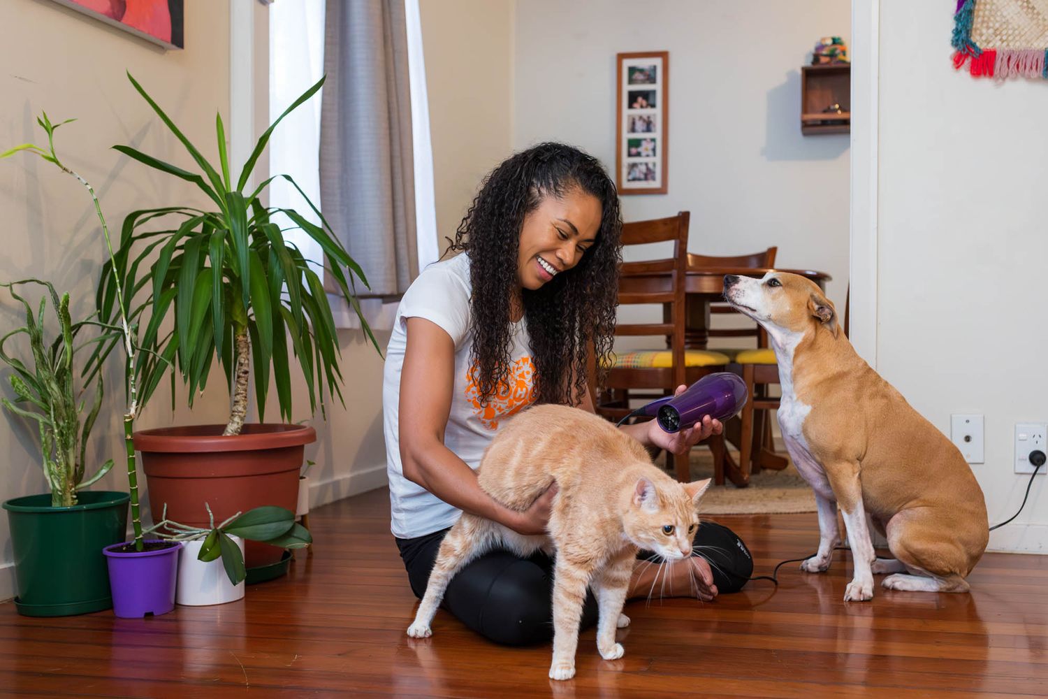 Cat and dog interacting with their owner in a bright modern living room with houseplants.