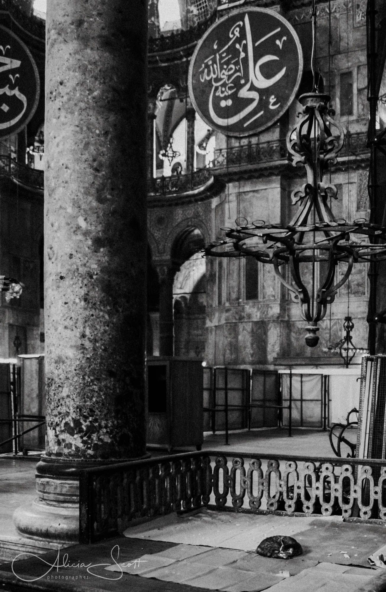Black and white photo of Hagia Sophia interior featuring massive columns, Arabic calligraphy and a sleeping street cat.