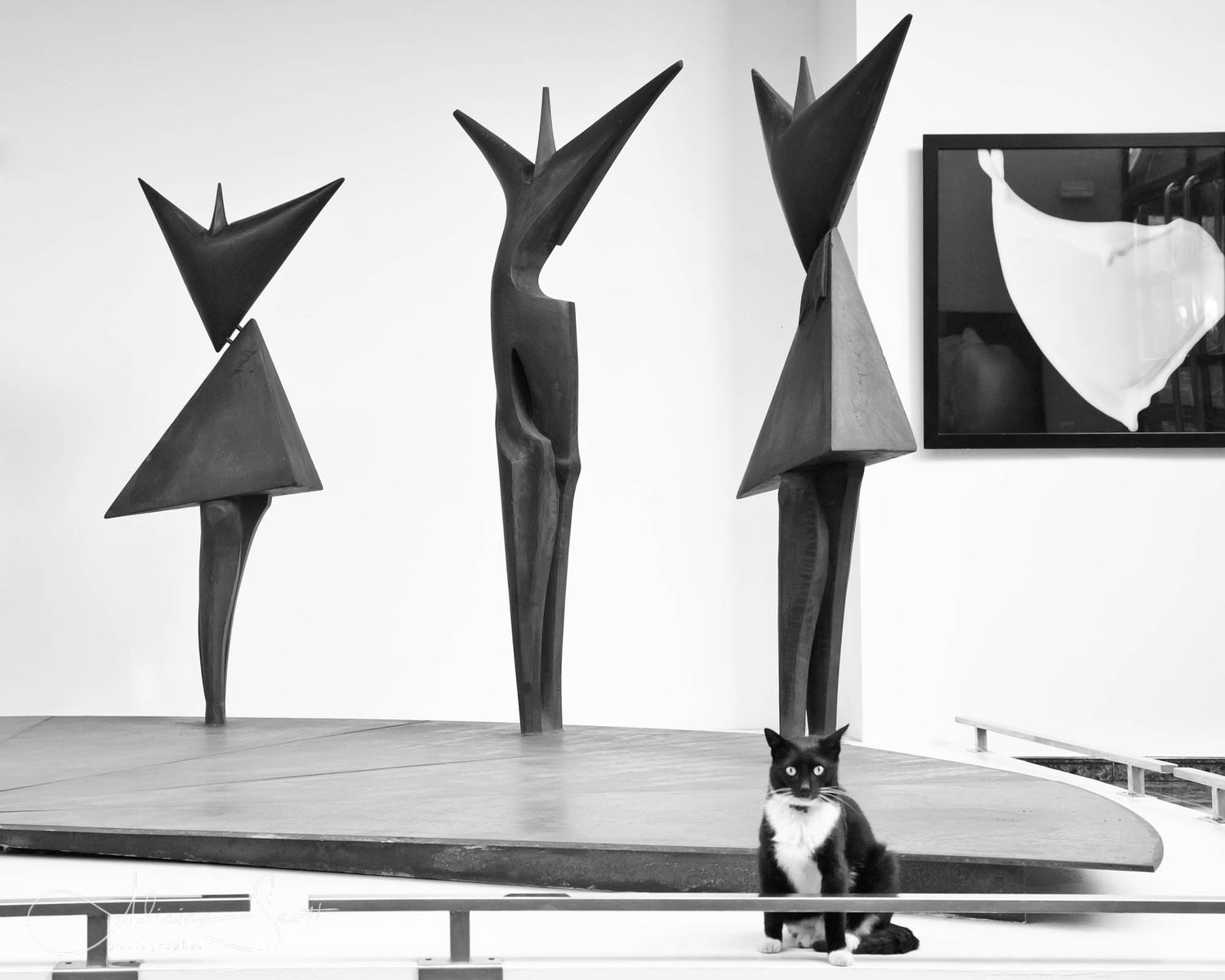 Black and white photo of abstract metal sculptures with a tuxedo cat sitting nearby in a Barcelona art gallery.
