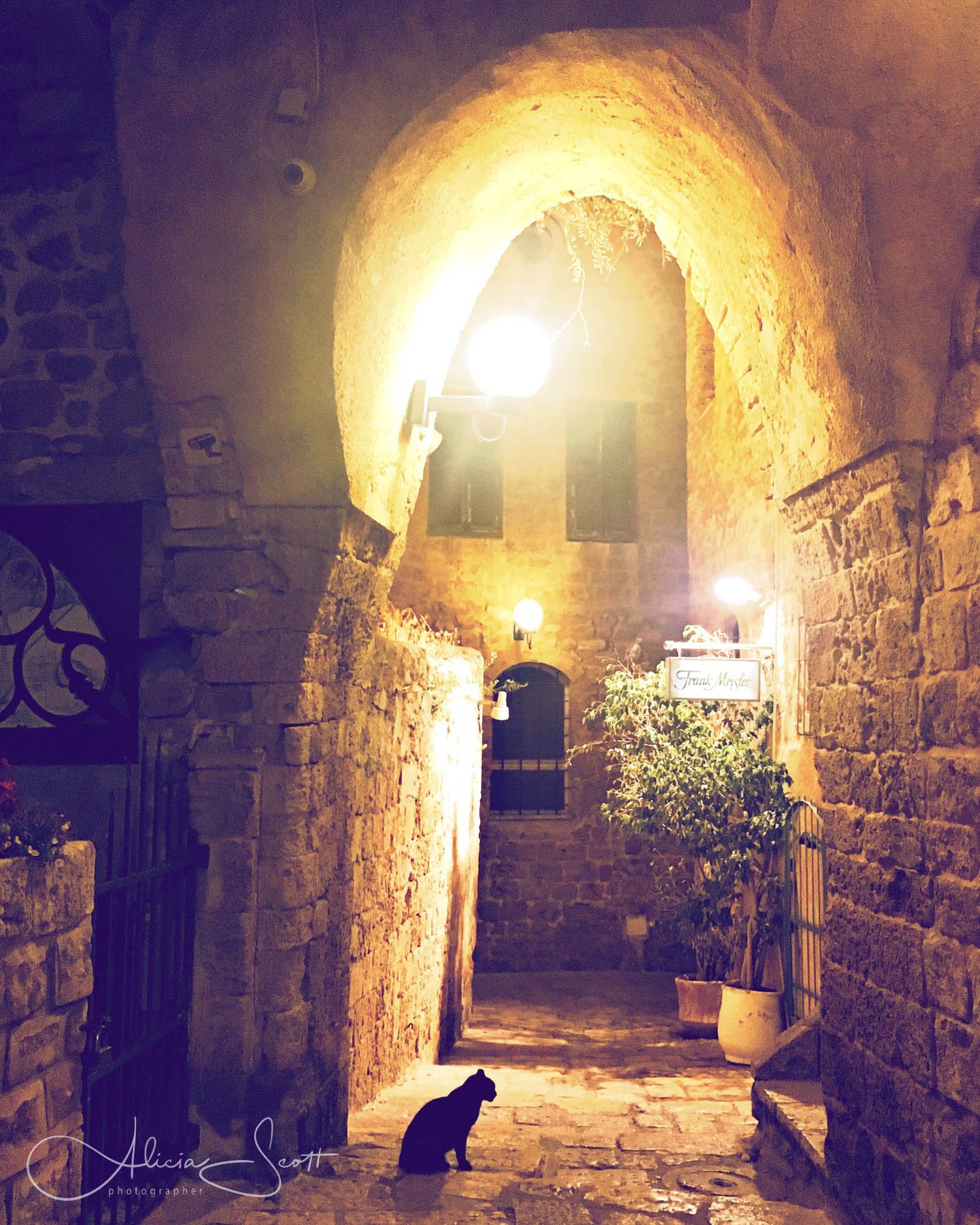 A black cat sits under a glowing stone archway in an ancient Jaffa alleyway at night, illuminated by warm golden light.