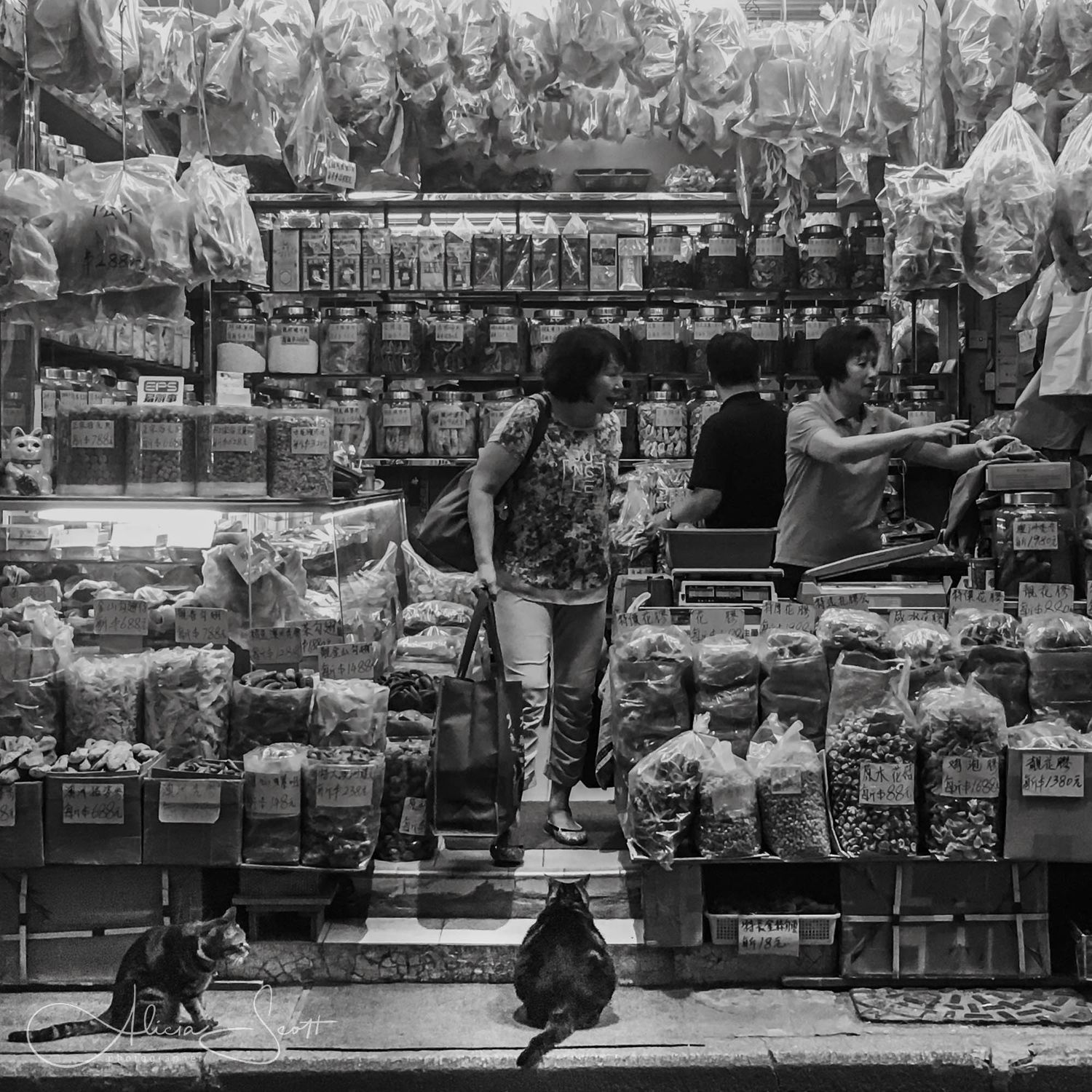 Black and white photo of a busy Hong Kong market shop with vendors, shoppers, and two cats sitting on steps among dried seafood goods.