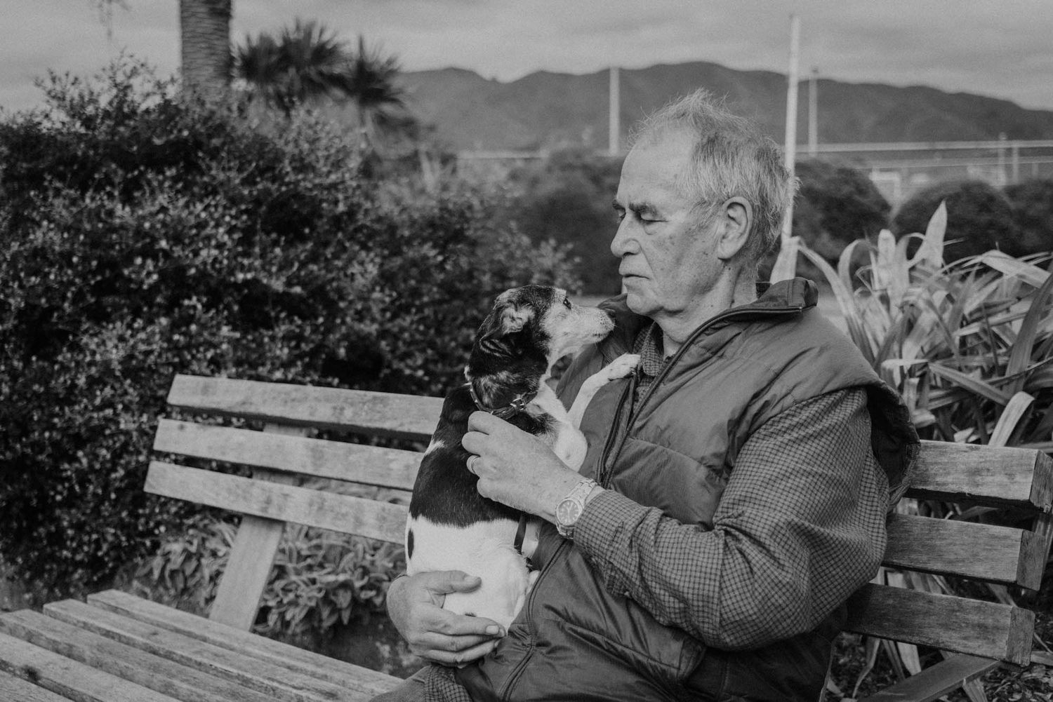 An older gentleman relaxes a on wooden benches with his small dog.