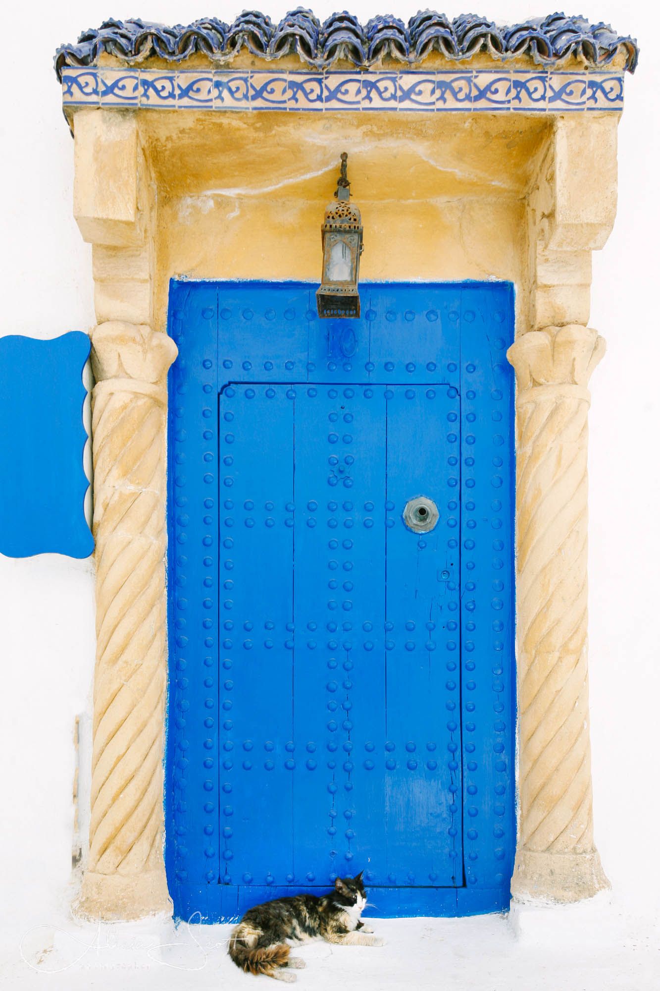A cat resting by a vibrant blue Moroccan door with ornate stone columns and decorative tilework in Rabat's Kasbah des Oudaias.