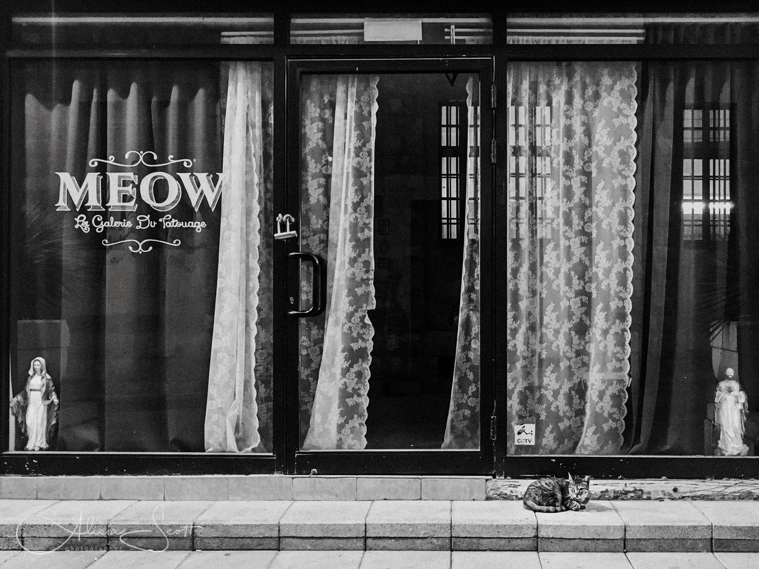 Black and white photo of a cat sitting outside a shop window with MEOW signage and lace curtains in Haifa, Israel.