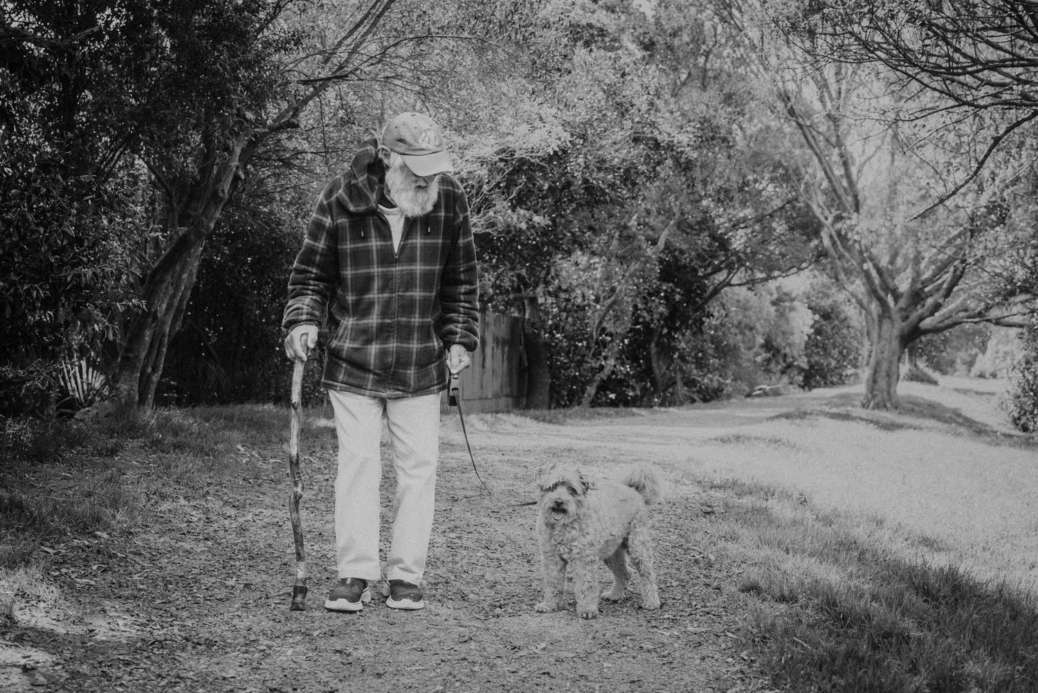 A black and white photo of an old man walking his dog along a wooded path.
