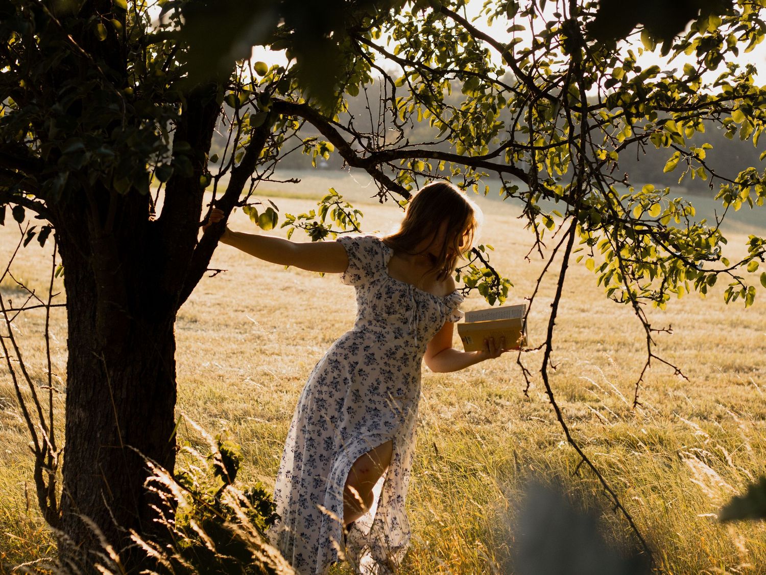 Eine Frau im Sommerkleid liest unter einem Baum in einer sonnigen Wiese bei Bad Birnbach.