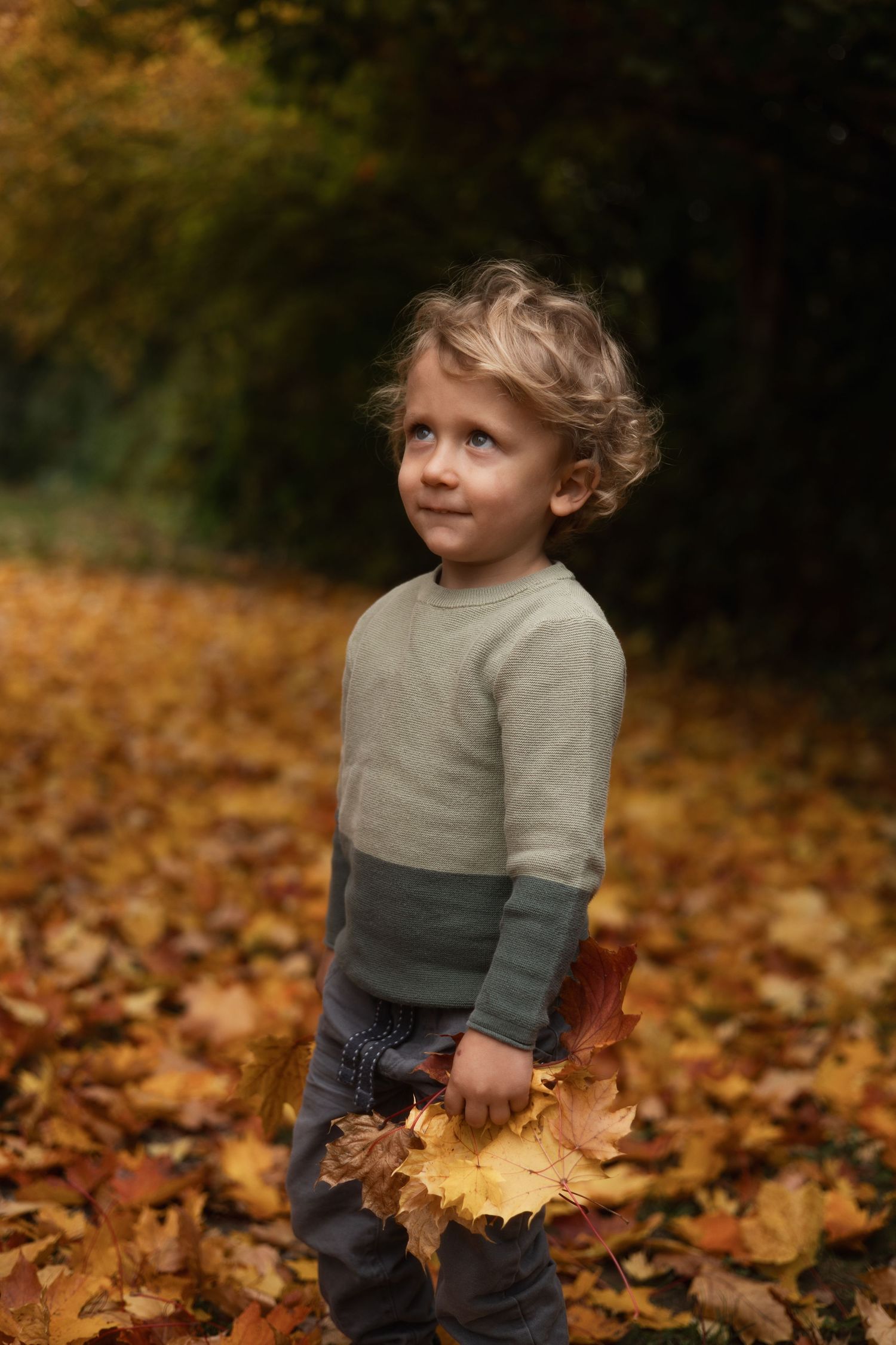 Porträt eines kleinen Jungen mit Herbstlaub in den Händen während eines Familien-Fotoshootings in der Natur von Bad Birnbach.