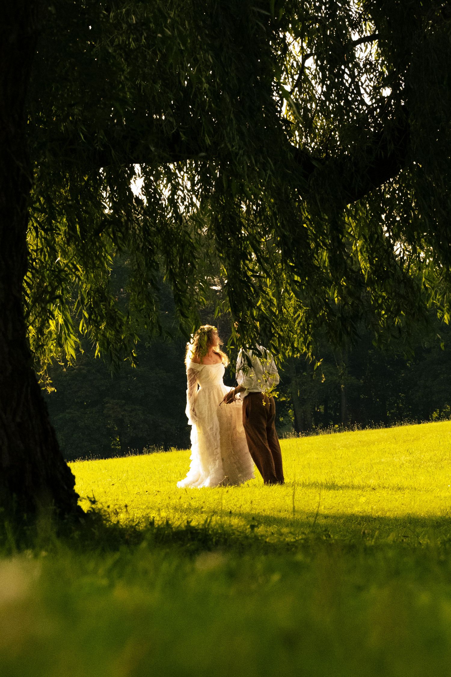 A couple in wedding attire sits beneath a willow tree on a sunlit grassy hill during golden hour.