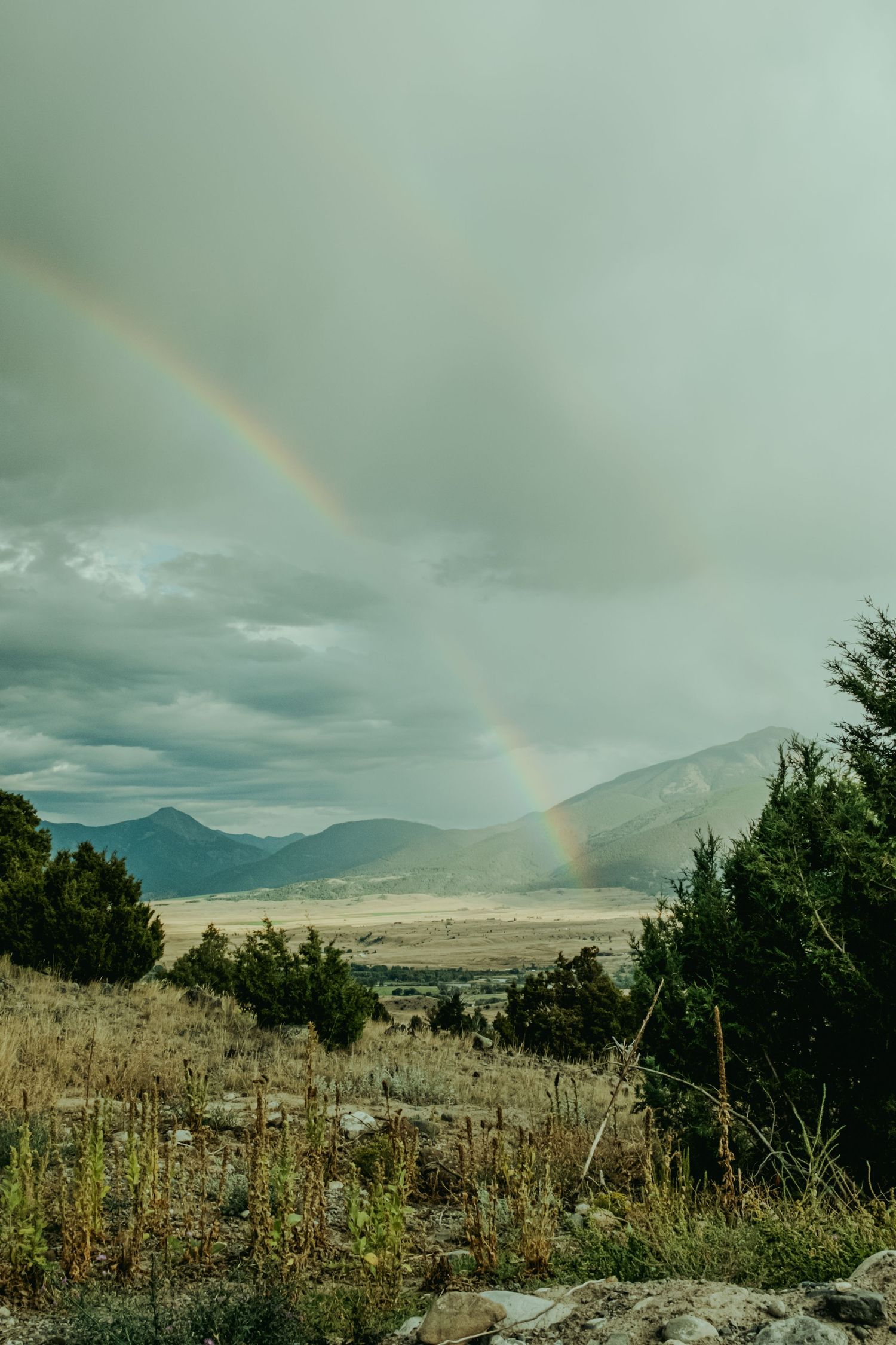 A double rainbow arcs over a vast mountain valley with evergreen trees and golden grasslands under dramatic storm clouds.