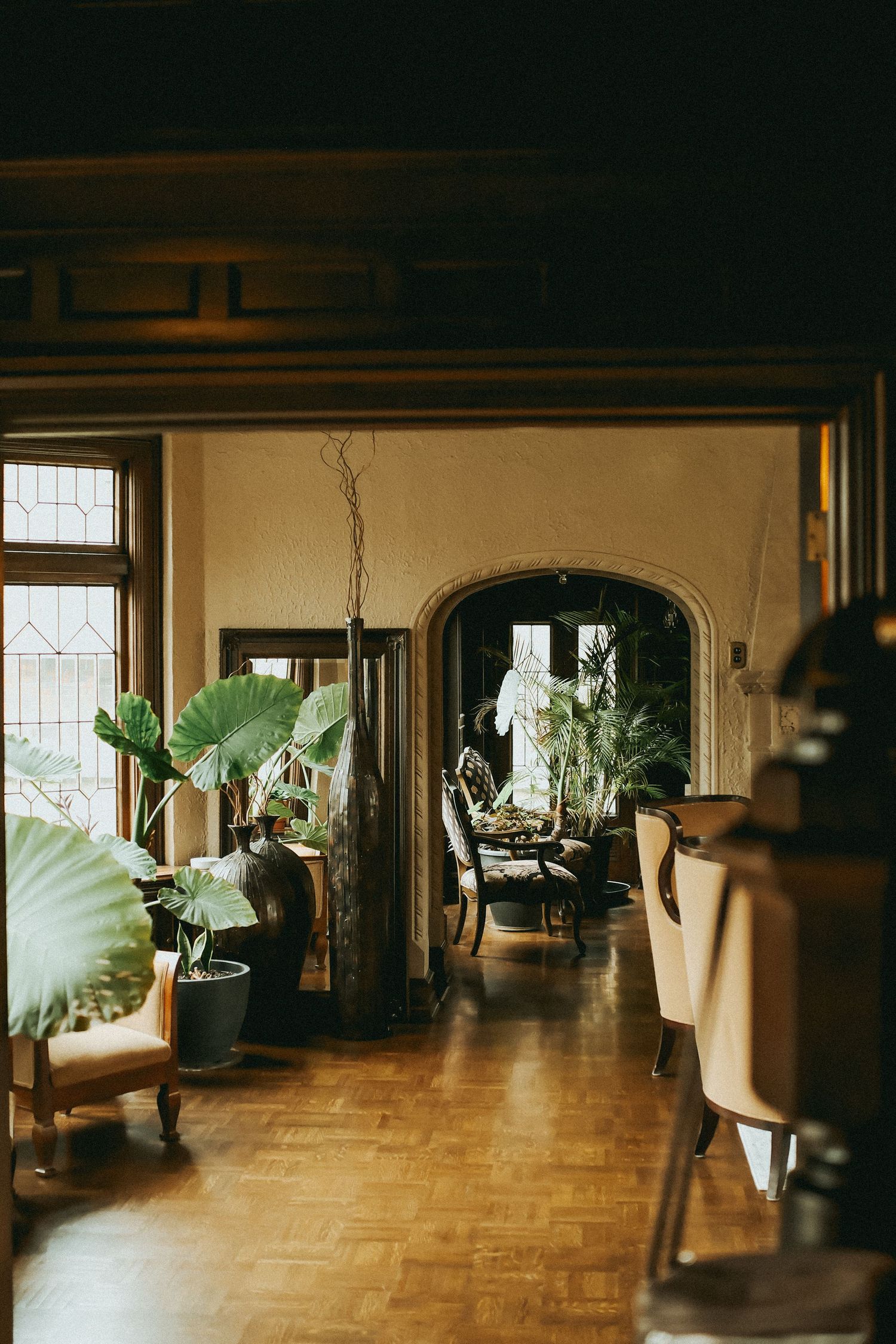 Elegant vintage hallway with lush tropical plants, arched doorway, hardwood floors, and antique furniture in warm lighting.
