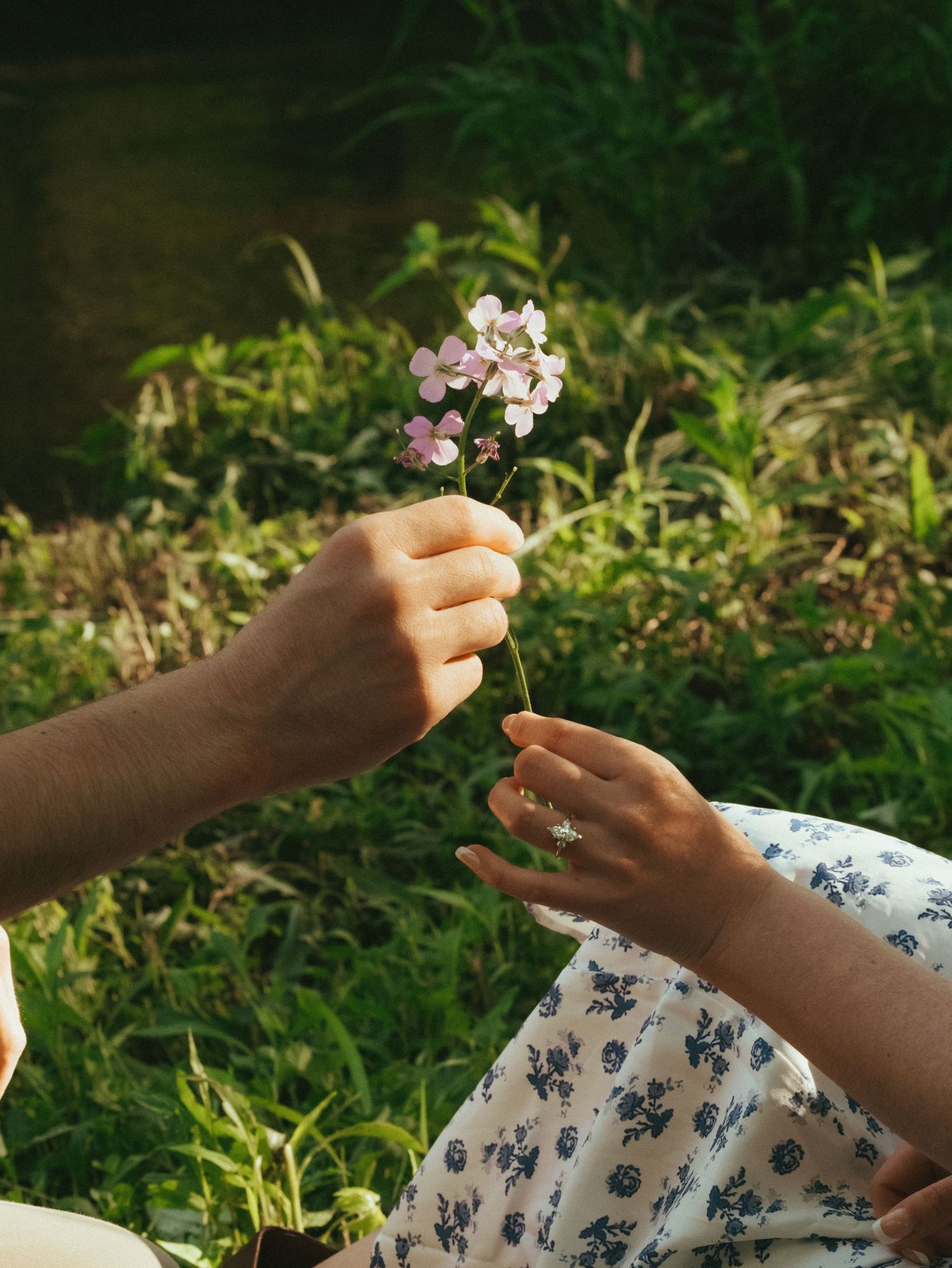 Two hands exchanging small pink wildflowers outdoors, with a floral dress and lush green foliage in the background.