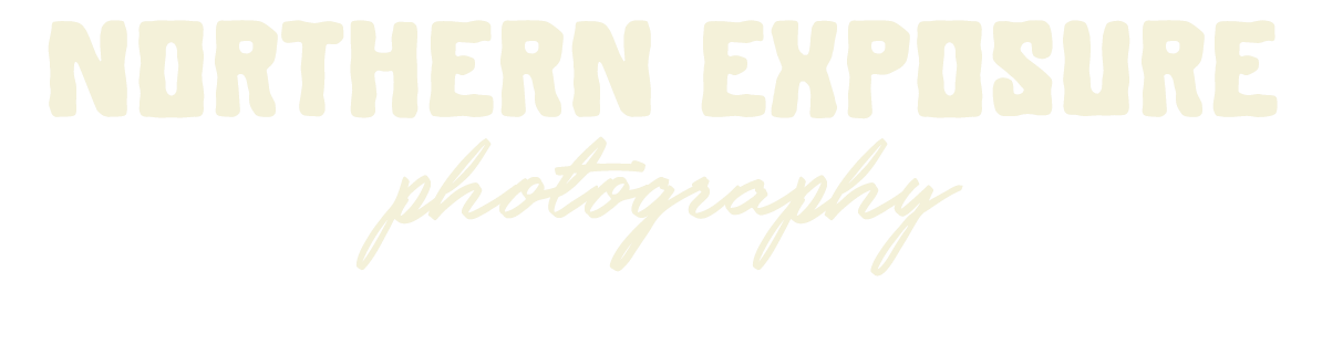 Northern Exposure Photography logo in elegant gold serif and script fonts on a light background.