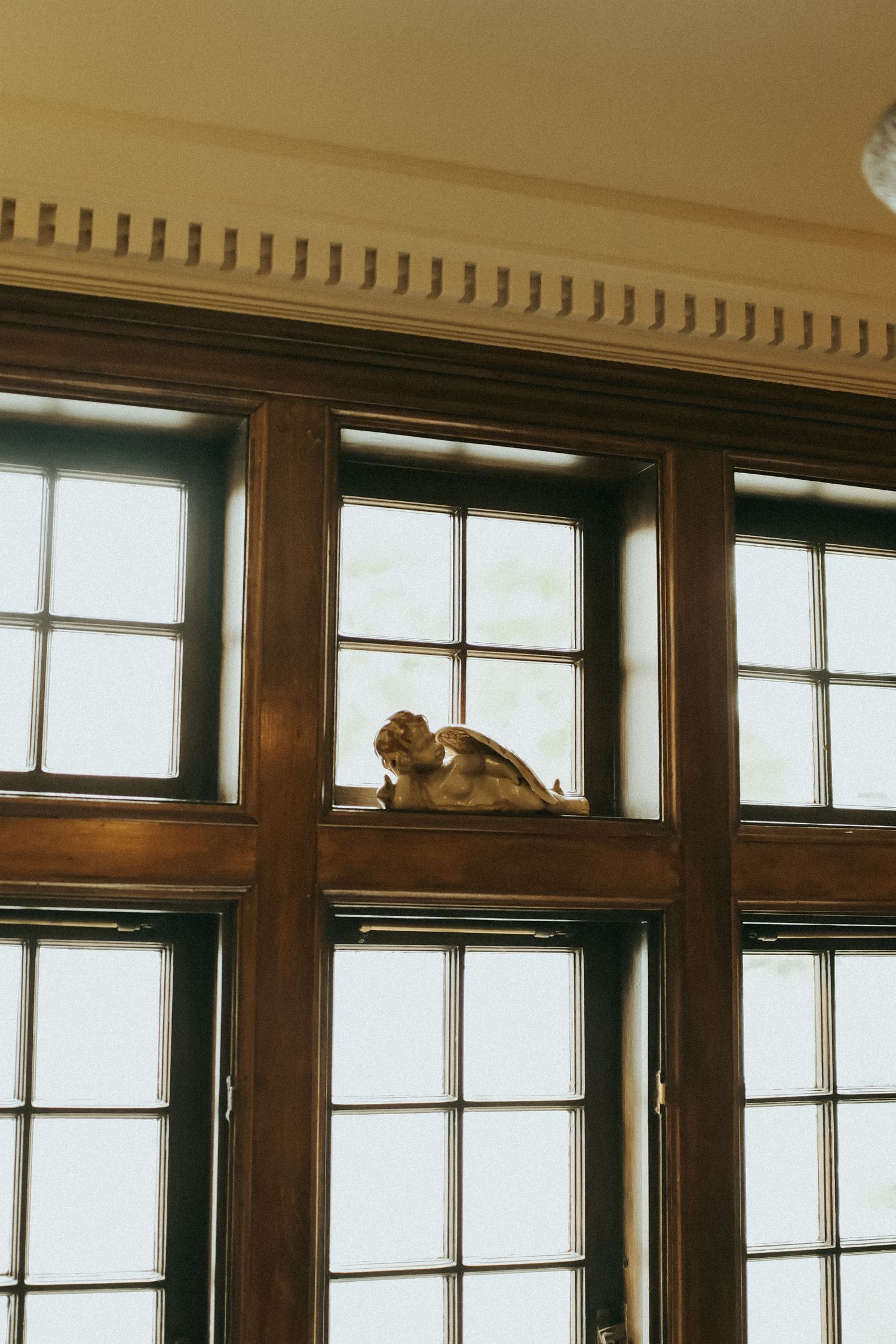 A cat resting on a window ledge between tall wooden-framed multi-pane windows in an elegant room.